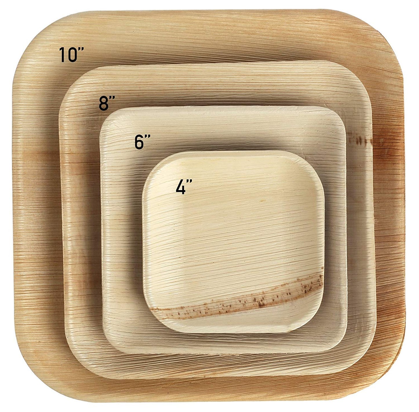 Charity Leaf Disposable Palm Leaf 6" Square Plates (200 pieces) Bamboo Like Serving Platters, Disposable Boards, Eco-Friendly Dinnerware For Weddings, Catering, Events