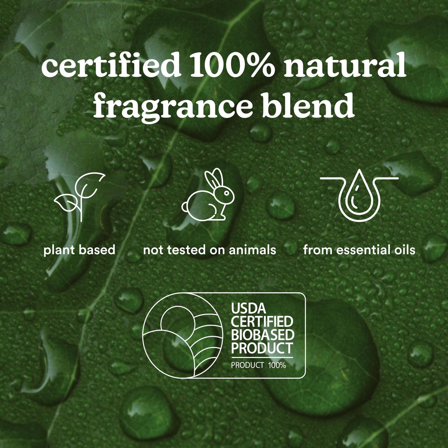 Homedics SereneScent Waterless Diffuser Oil Refill — Tokyo Tea (120ml). Clean, Safe, Bright & Refreshing Hotel-Inspired Home Fragrance. Compatible with SereneScent Diffusers. Easy Twist Plug & Play