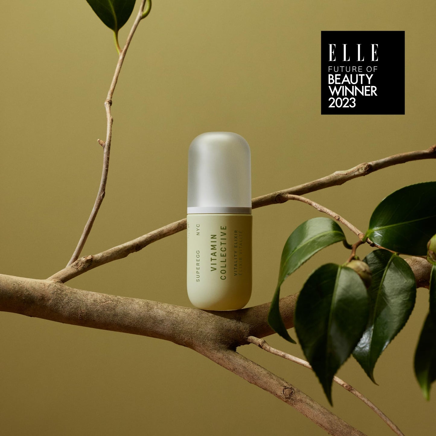 SUPEREGG Vitamin Collective Vitality Elixir: For a bright and firm complexion. Treatment serum with Vitamin B·C·E·F·K and Sea Moss. 30 ML / 1 FL OZ