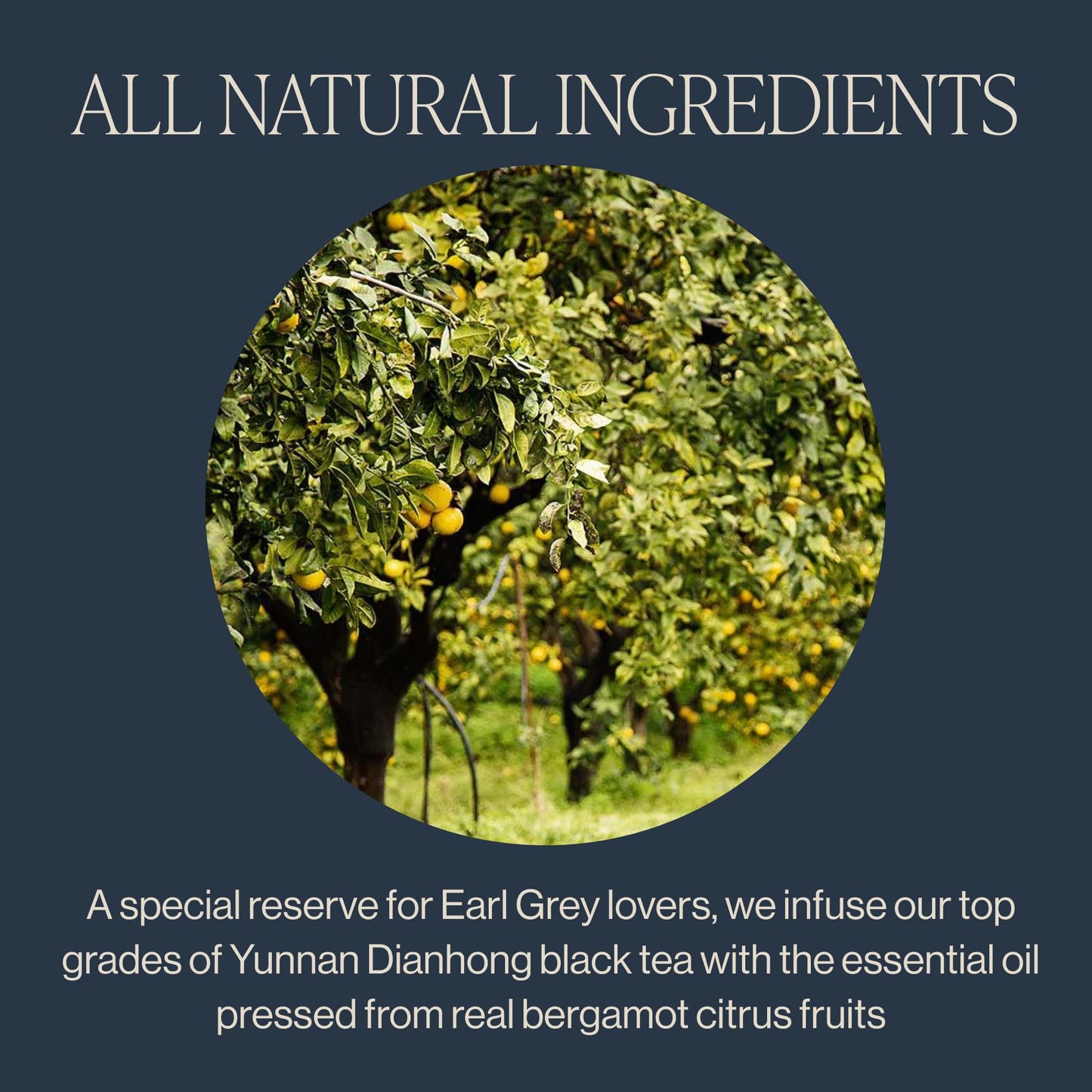 Rishi Tea Earl Grey Supreme Tea - Organic, Caffeinated Loose Leaf Tea with Bergamot Oil and Top Grade Yunnan Black Tea - 16 Ounces, 50+ Servings