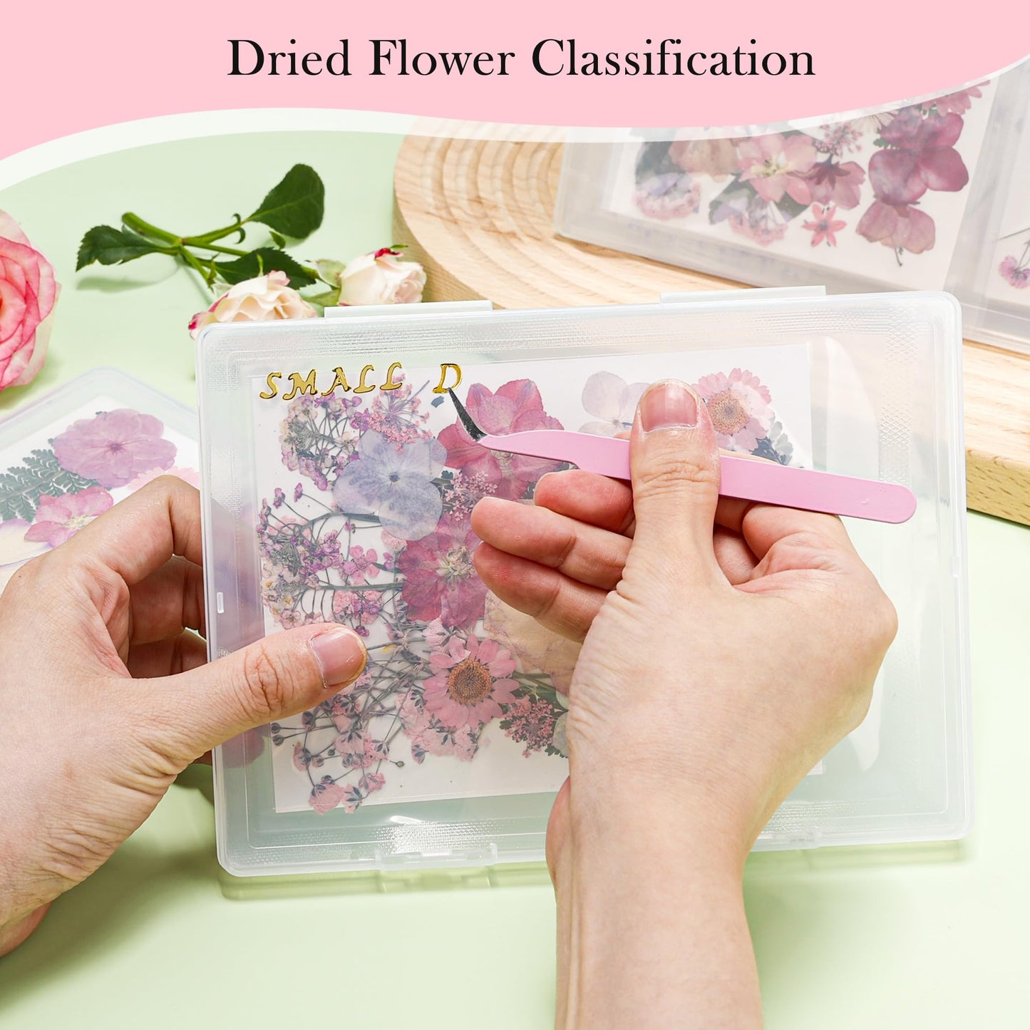 Aboofx 6 PCS Dried Flower Storage Set with Blotting Paper, Ziplock Bag and Desiccant, Flower Preservation Kit - Good Seal, High Capacity to Keep Flower Color and Dry