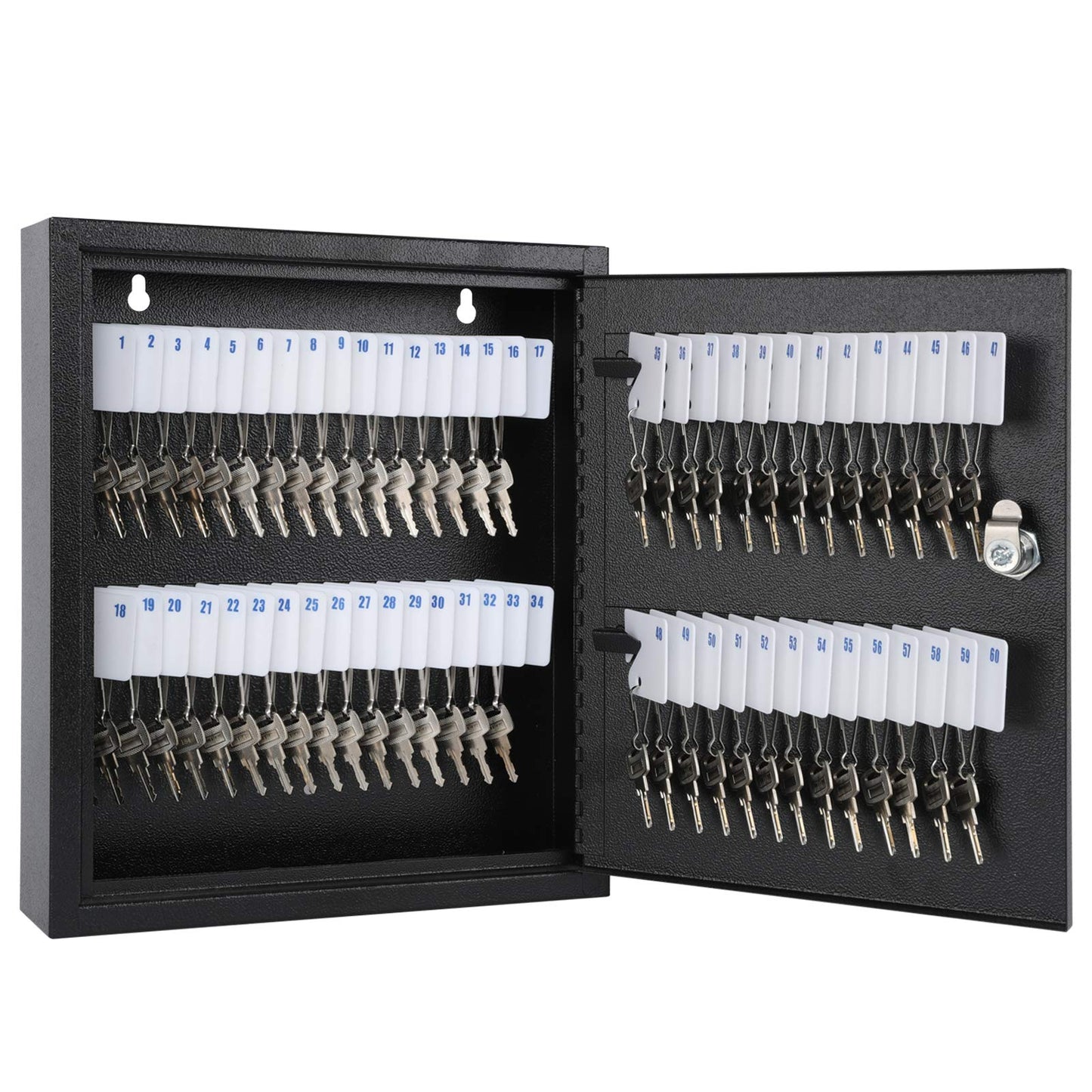 KYODOLED Key Storage Lock Box with Key, Locking Key Cabinet, 60 Key Management Wall Mount with Key Lock, Key Hooks & Key Labels, 2.5" D x 10.2" W x 12.1" H (Black,60 Key)