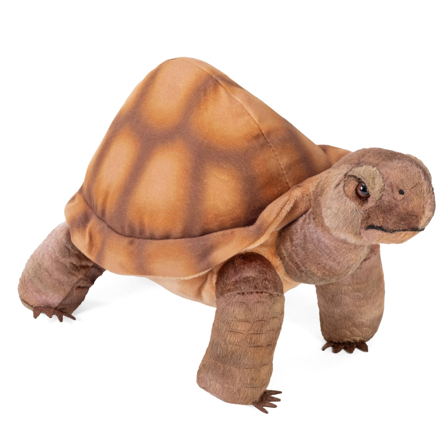 Wild Republic Desert Tortoise Plush, Stuffed Animal, Plush Toy, Cuddlekins, Gifts for Kids, 12", Multicolor
