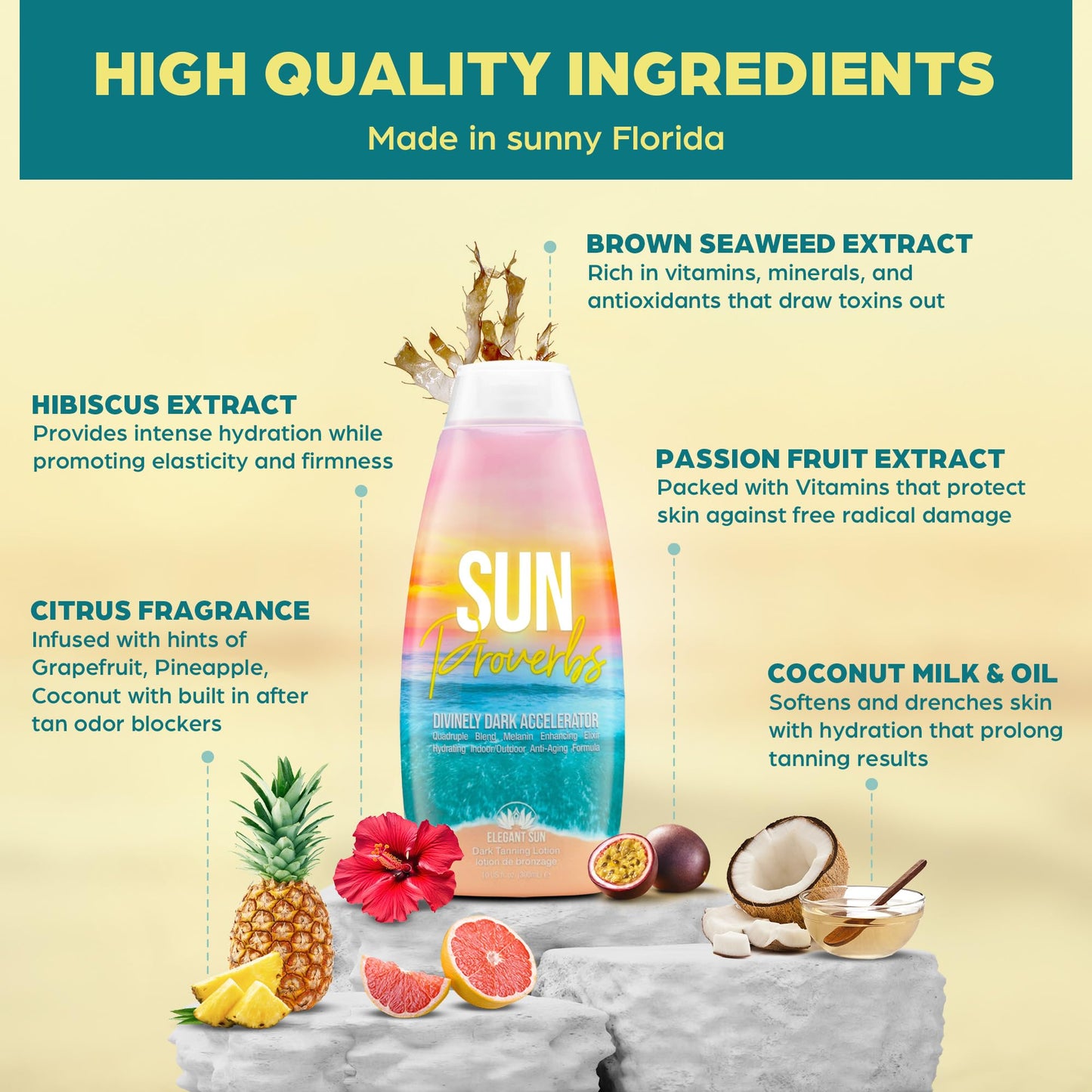 Sun Proverbs, Tanning Bed Lotion, Dark Tan Accelerator, Indoor Outdoor Sun Bathing White Lotion without DHA, Bronzer-Free, Natural Bronzing for Men or Women by Elegant Sun