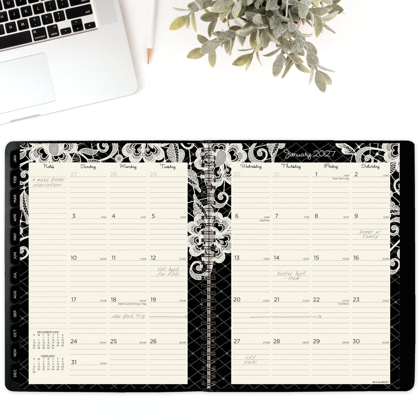 AT-A-GLANCE 2026 Appointment Book Planner, Weekly & Monthly, 8.5" x 11", Large, Hourly, Lacey (541-905-26)