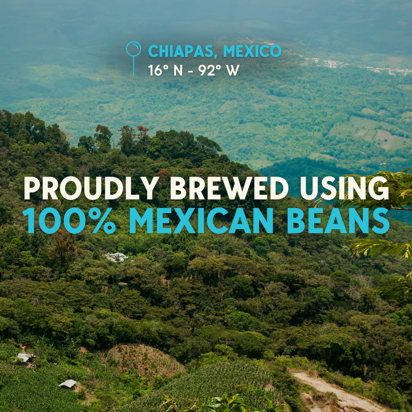 RICA Cold Brew | Mexican Single Origin Dark Roast Coffee From Chiapas | Ready To Drink Black Cold Brew Coffee With 250mg Natural Caffeine | Unsweetened, Low Acid, Shelf Stable 12oz Cans (12 Pack)
