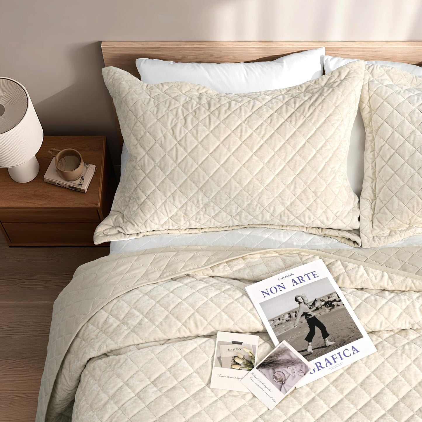 dennylife Luxury Velvet Queen Quilt Set, Ultra Soft Lightweight Cream White Velvet Comforter Set, Oversized Bedspread Coverlet with 2 Pillowcases Diamond Pattern, for All Season (Beige)