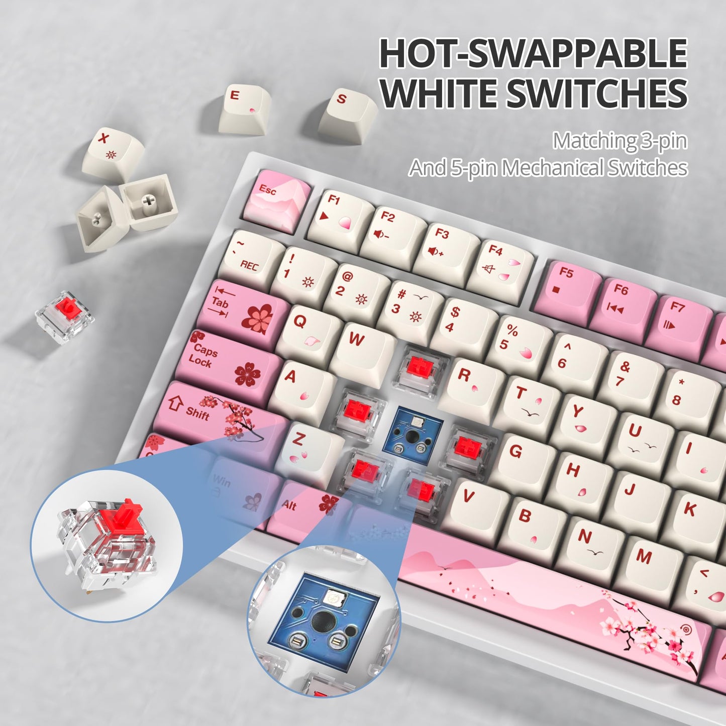 SbocKeeb 75 Percent Pink Keyboard Gasket-Mounted with Sound Absorbing Pads, 82-Key Compact Wired RGB Mechanical Gaming Keyboard Hot-Swap Socket for Win, Ying