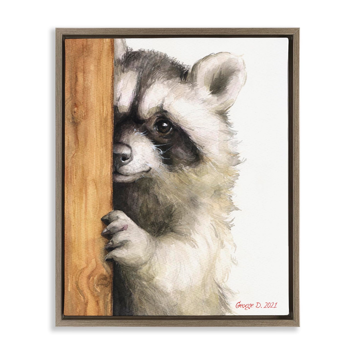 Stupell Industries Peering Raccoon Watercolor Framed Floater Canvas Wall Art by George Dyachenko