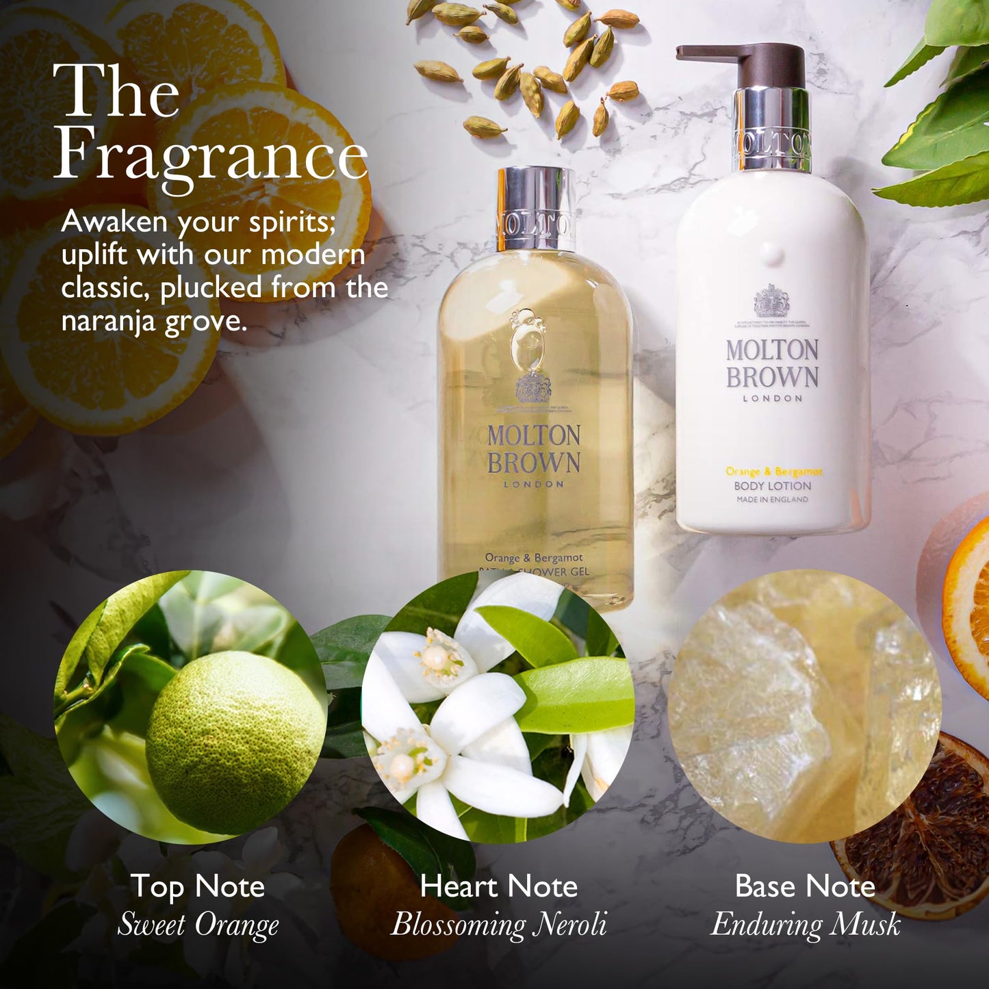 Molton Brown Orange & Bergamot Aroma Reeds 5 fl.