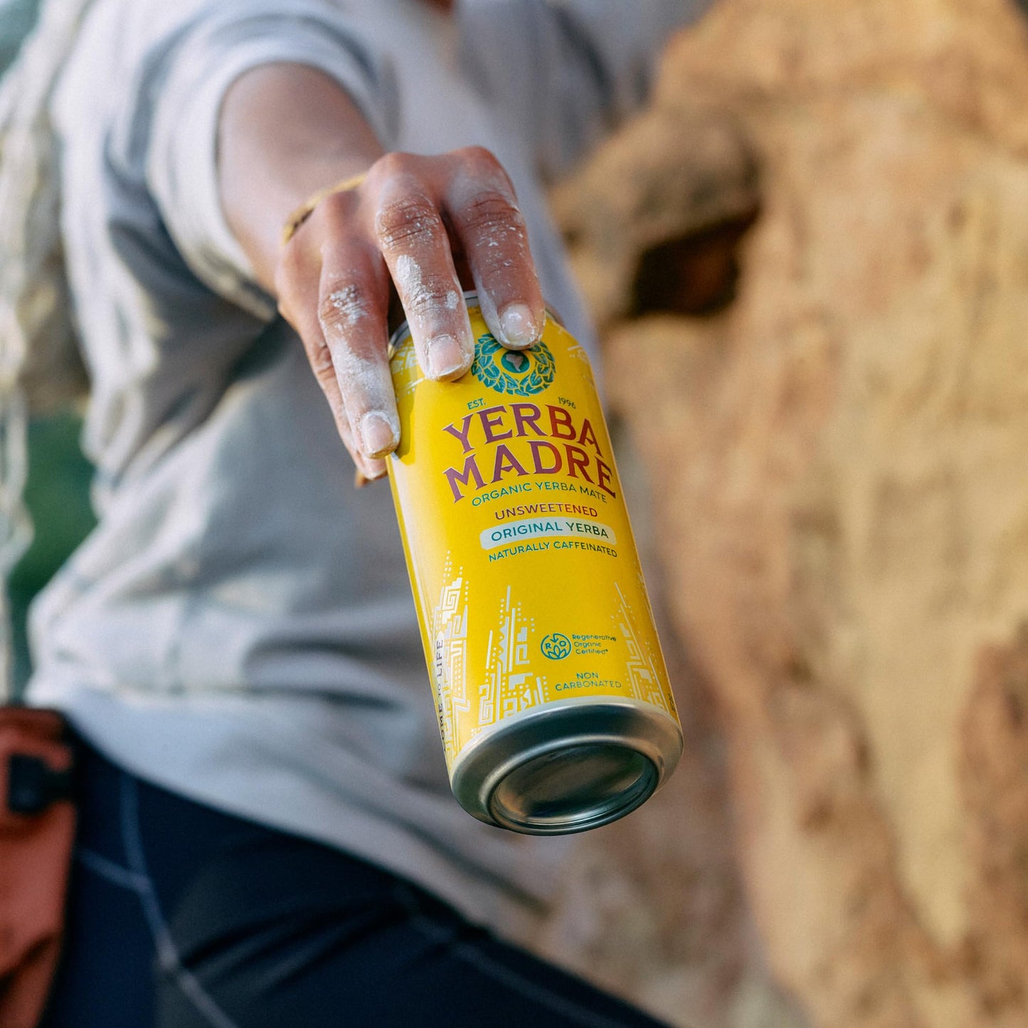 Yerba Madre Organic Yerba Mate, Energy Drink Alternative, Unsweetened Original Yerba, 150mg Plant Based Caffeine, Smooth Energy & Focus, No Jitters or Crash, 15.5oz Cans (Pack of 12)