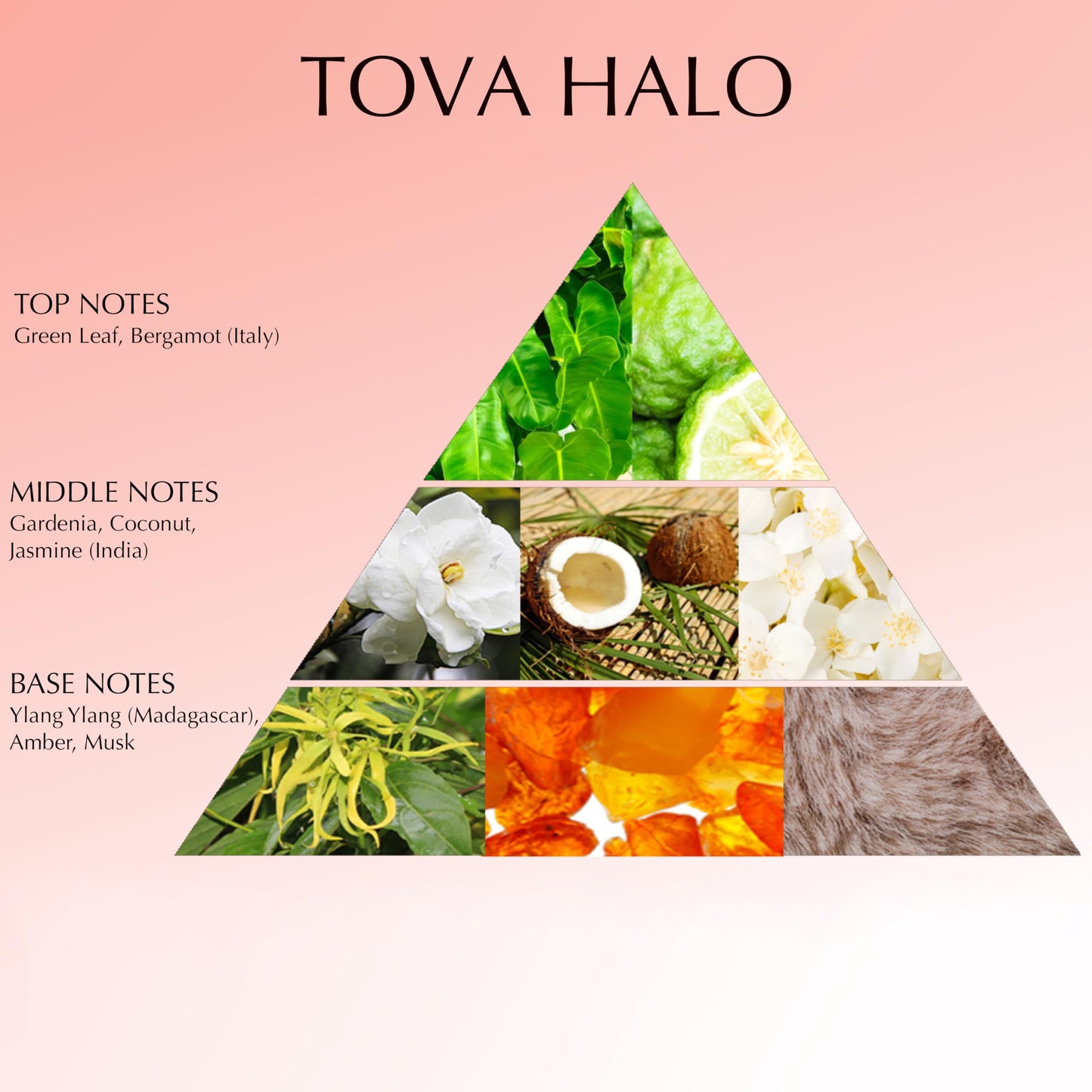 Tova Halo Eau de Parfum - Refreshing and Long-Lasting Scent - Ideal for Daily Wear - 3.4 fl oz
