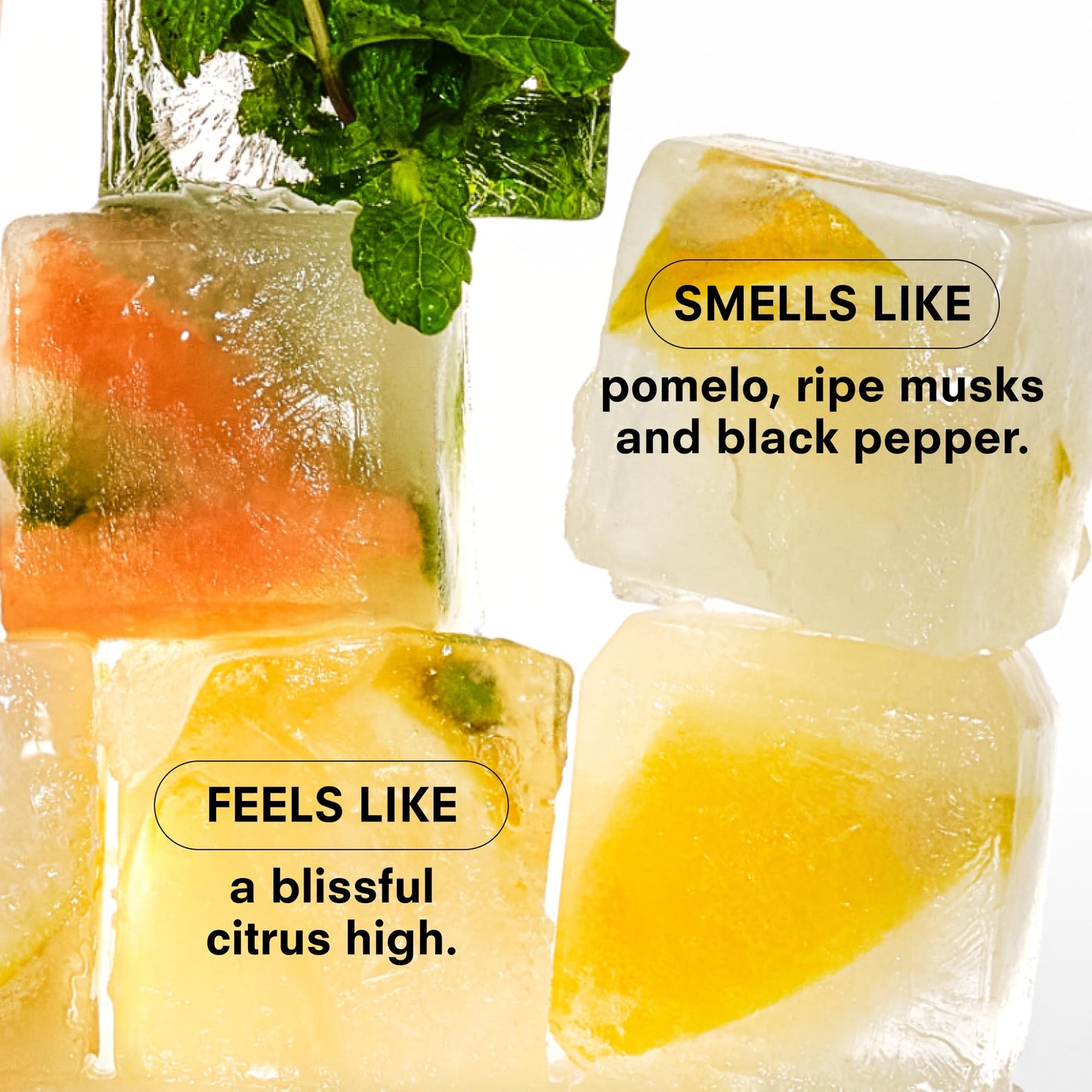 Boy Smells Citrush Candle – Bright Citrus Aroma – Warm Musk Finish – Pomelo Oil – Clean Burning Scented Candle – Long-Lasting Fragrance Throw – Vegan Soy Wax Blend – 8.5oz Glass Jar