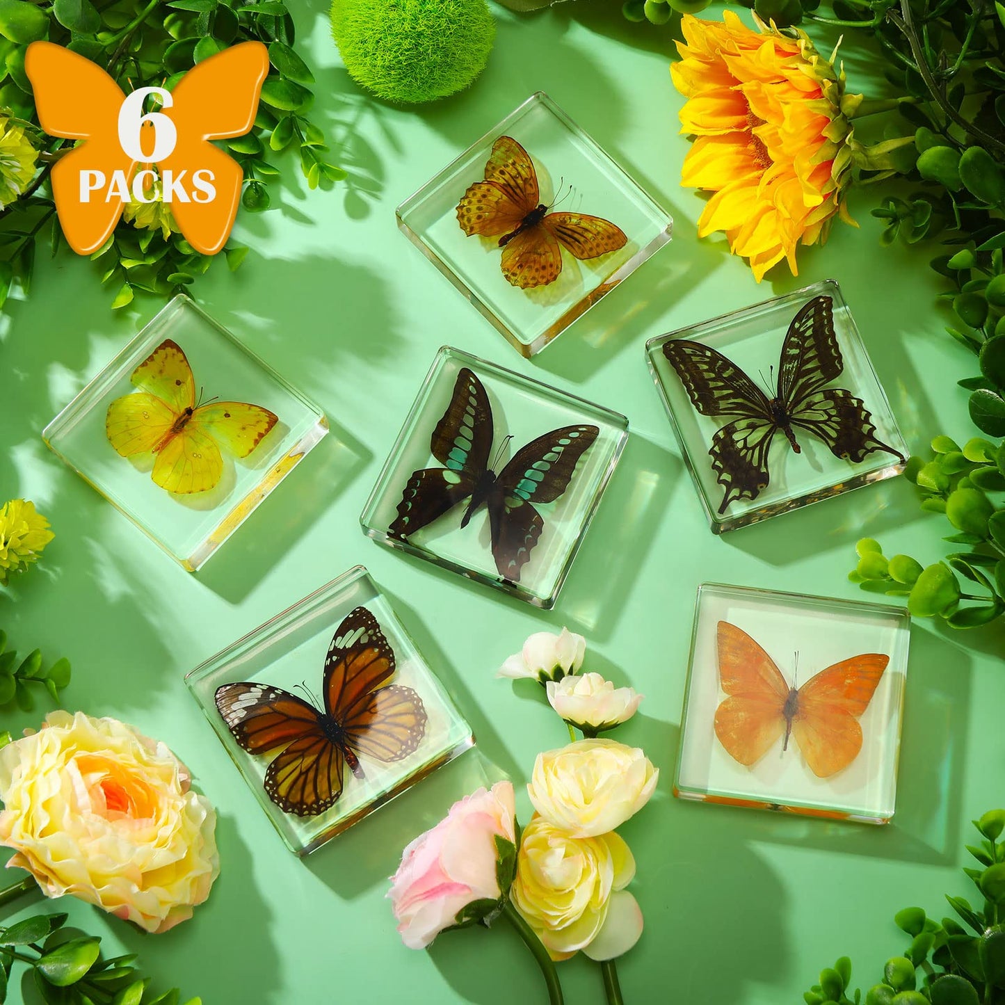 6 Pcs Real Butterfly Specimen Paperweight Assortment Framed Butterfly Taxidermy Resin Collection Display Science Toys for Home Office School, 6 Styles