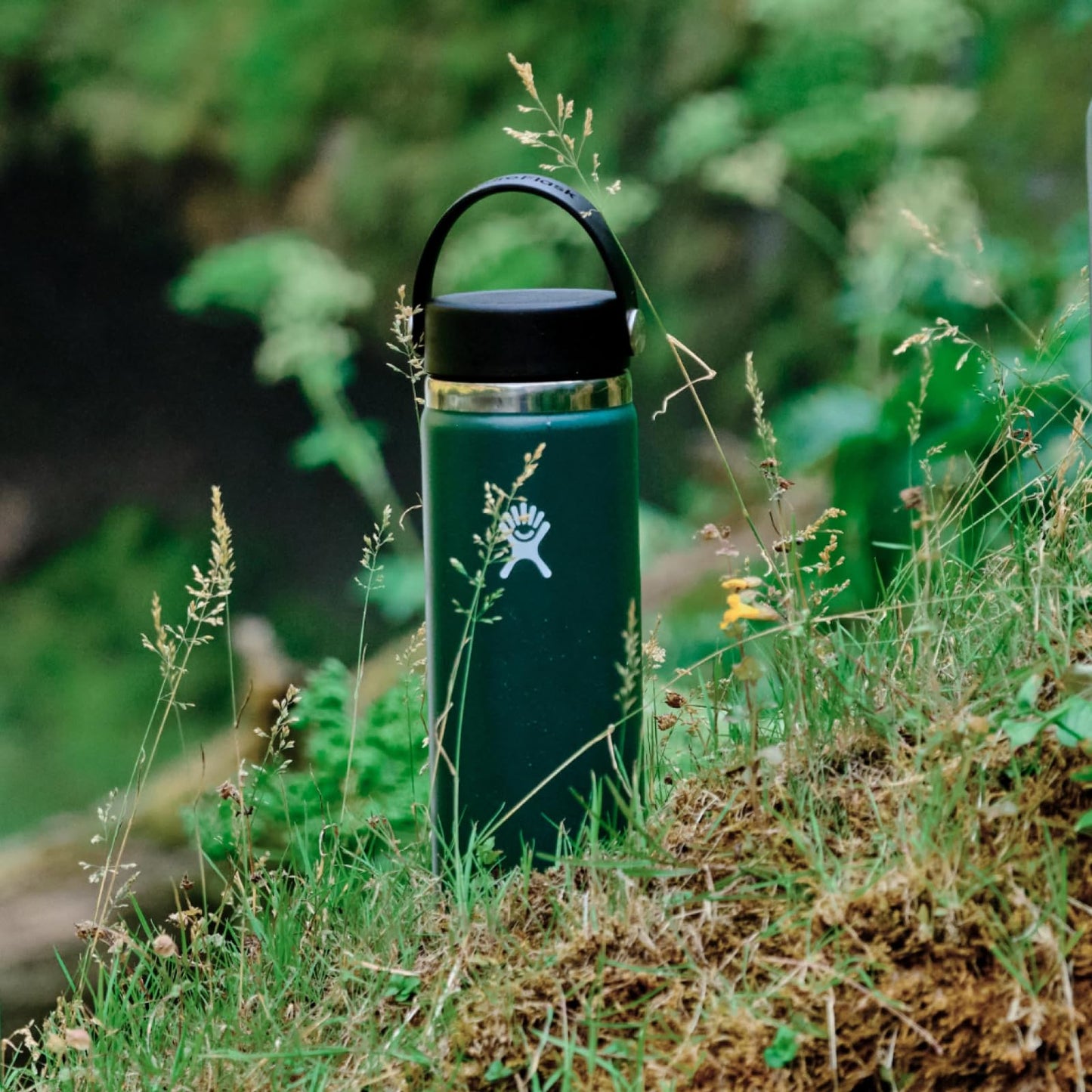 Hydro Flask Water Bottle - Insulated Stainless Steel - Wide Mouth Flex Lid, Non Spill, Leakproof and Refillable in 32 Oz Aloe Green