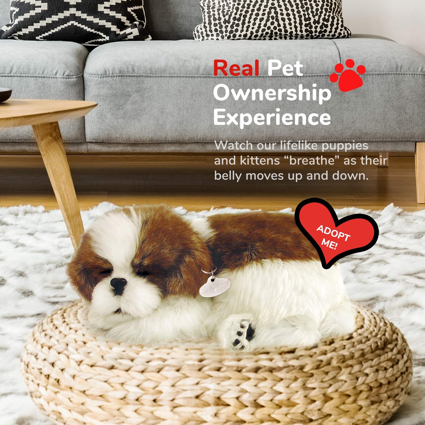 88 Unlimited Sleeping Shih Tzu Plush