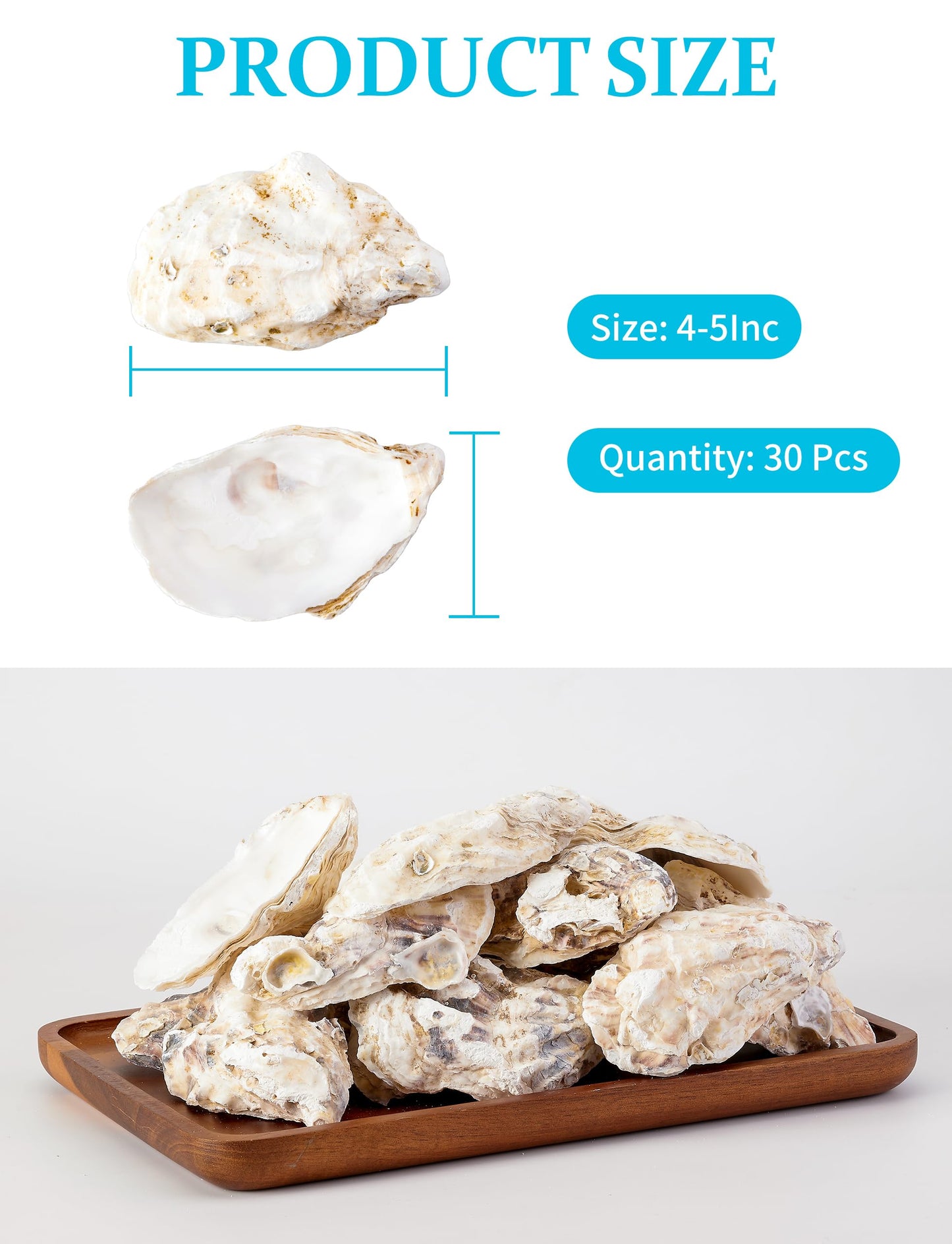 30Pcs Oyster Shells for Crafts， 4"-5" Large Oyster Shell for Crafts，Oyster Shells for Christmas 、Painting、 Beach Themes、 Wedding, Home Shells for Decoration and Sea Shells for Crafting