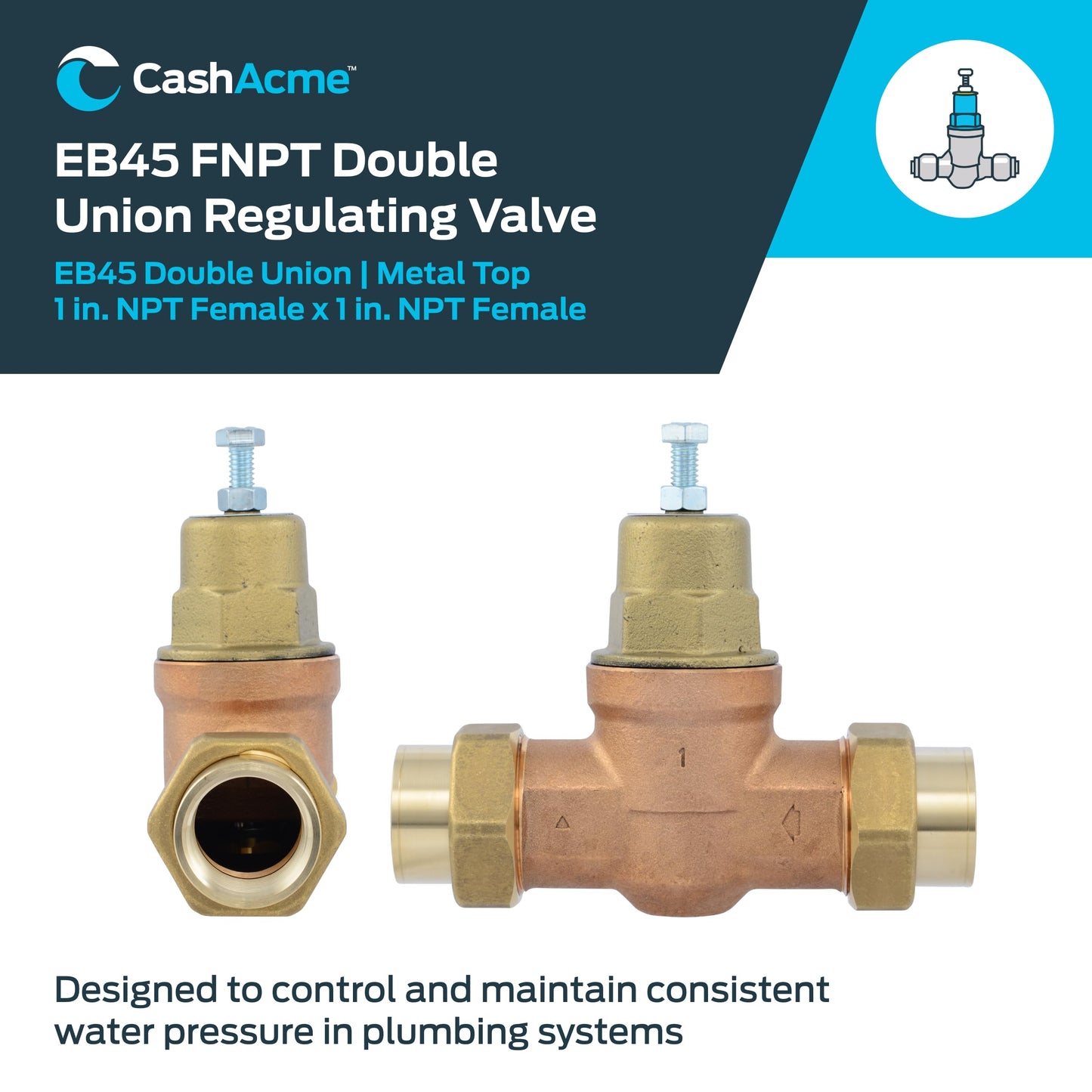 Cash Acme EB45 Pressure Regulating Valve, Double Union, 1 Inch NPT Female, Metal Top, 60 PSI, PVA20M-DUTH-60