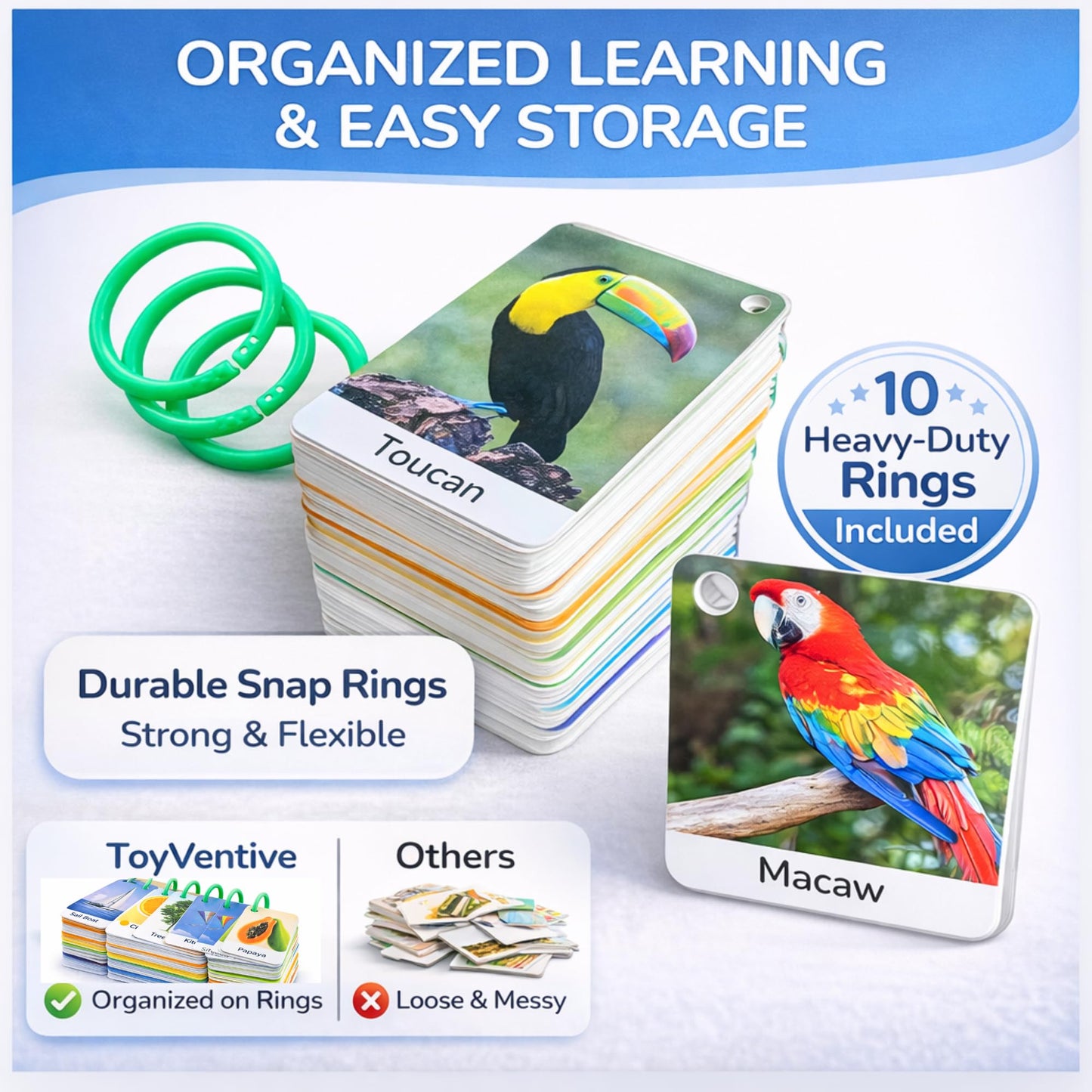TOYVENTIVE Educational Cards for 1-3 Years Old Kids with Circle, 250 Double Sided Cards, 500 Words, Gifts for 1 Year Old, Teaching Cards for Toddler, Educational Toys and