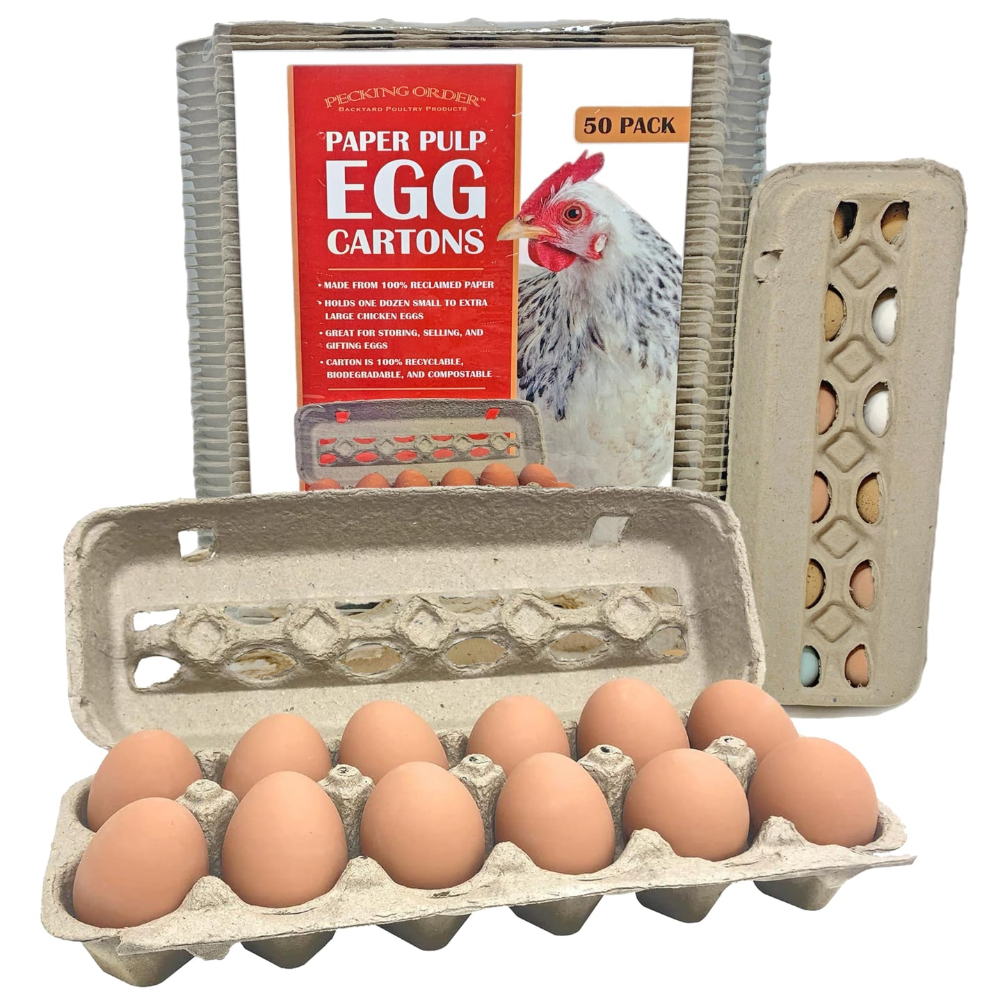 Paper Pulp Egg Cartons - 50 Pack