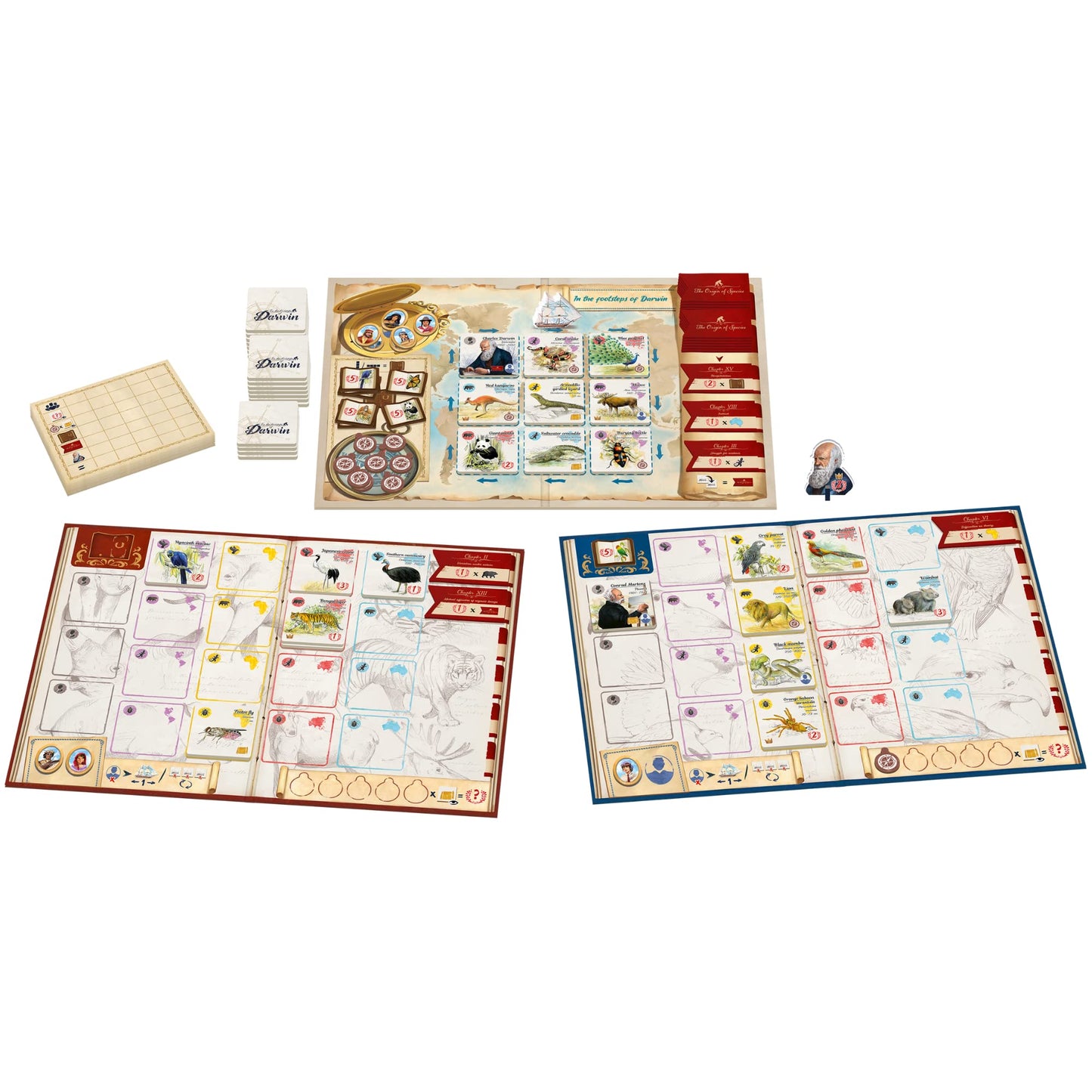 in The Footsteps of Darwin | Mensa Select Winner | Tile Laying Board Game | Ages 8+ | 2 to 5 Players | 30 Minutes