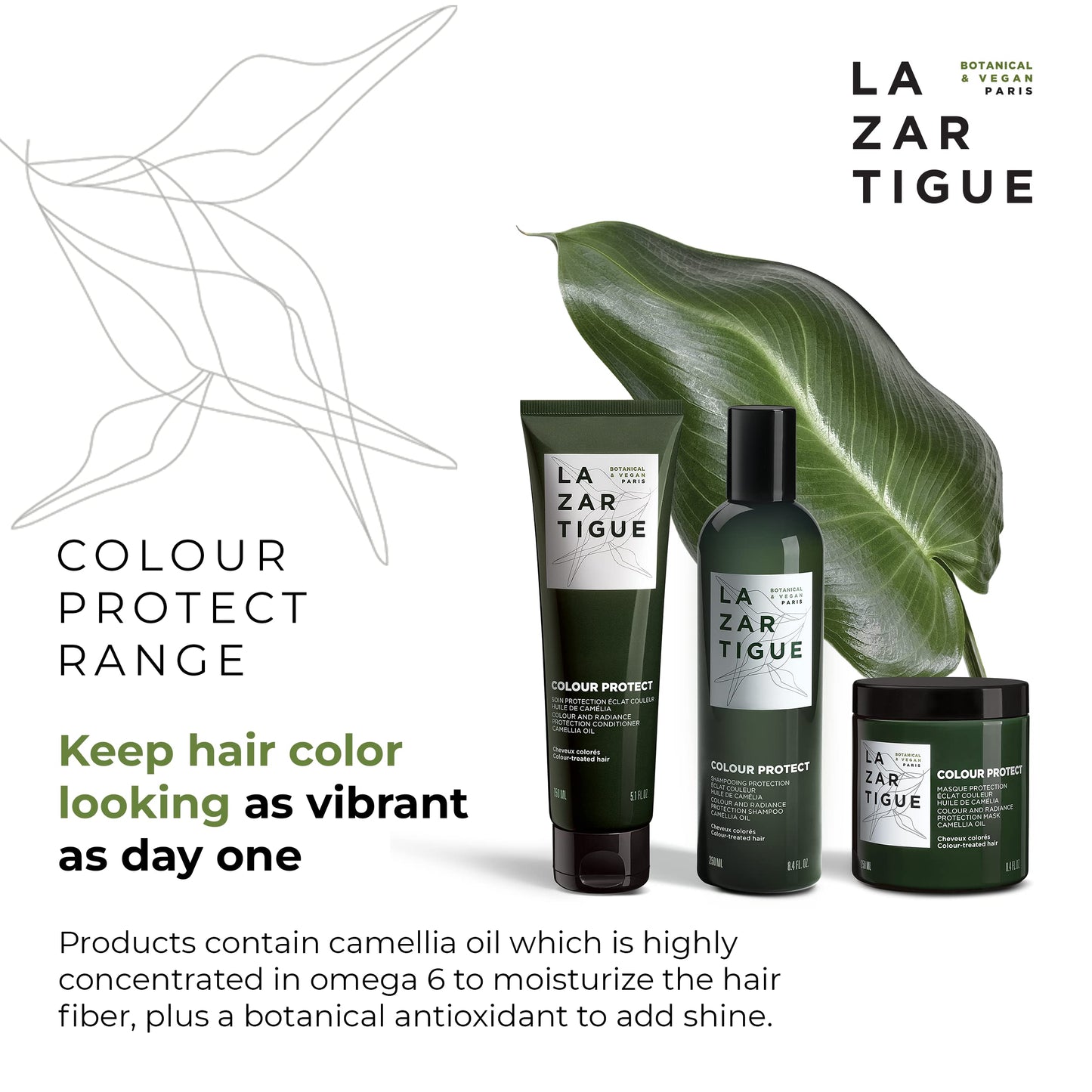 Lazartigue Colour Color & Radiance Protection Mask, Enriched with Camellia Oil, Nourishes Hair Fiber, Enhances & Leaves Hair Silky, Vegan, 8.4 Oz