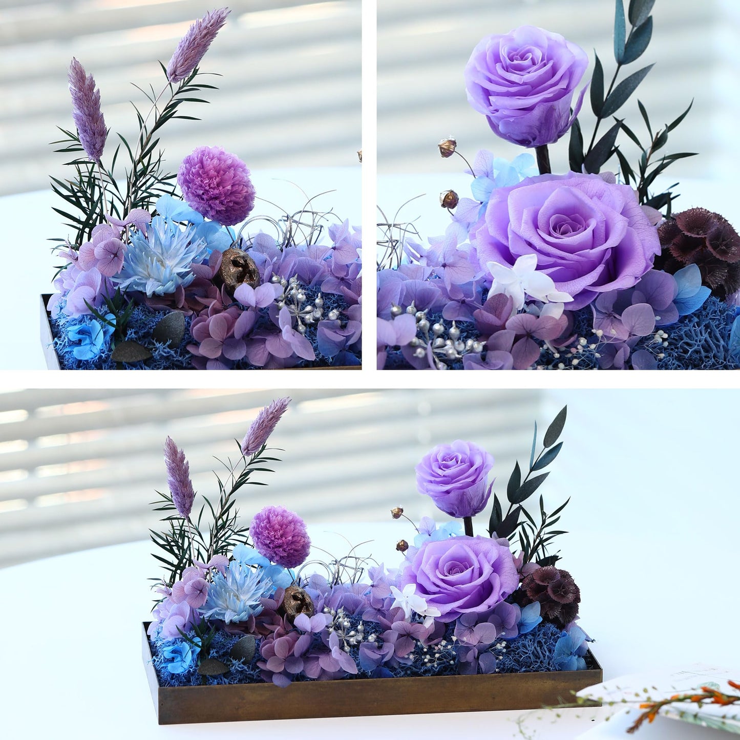 Mothers Day Flowers Roses Gifts for Women,Forever Real Preserved Rose in Glass Dome,Mothers Day Purple Roses Gifts for Her Wife Women Girlfriend Best Friend