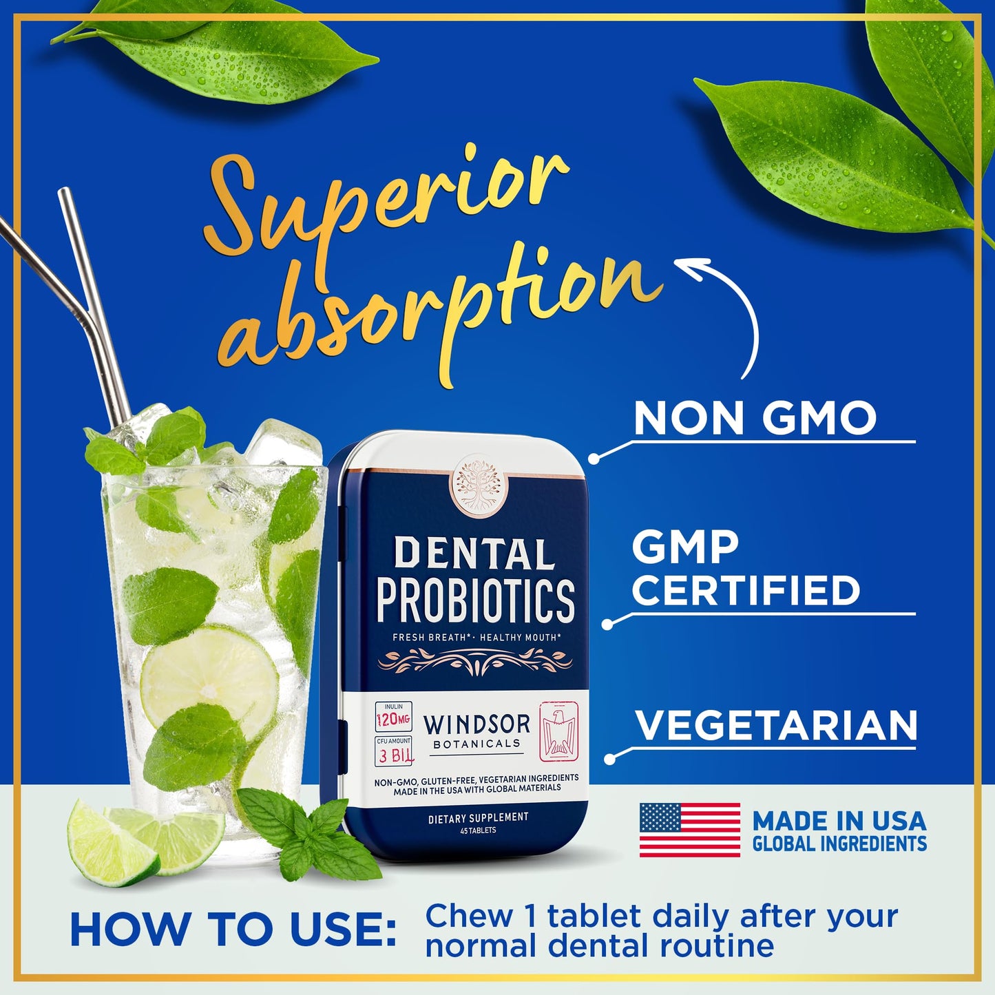 Dental Probiotics for Teeth and Gums - Oral Probiotics for Mouth Bad Breath - 3BN CFU Lactobacillus Salivarius Tablets Paracasei Rhamnosus Streptococcus - 90 Chewable Dental Probiotic in Travel Tins