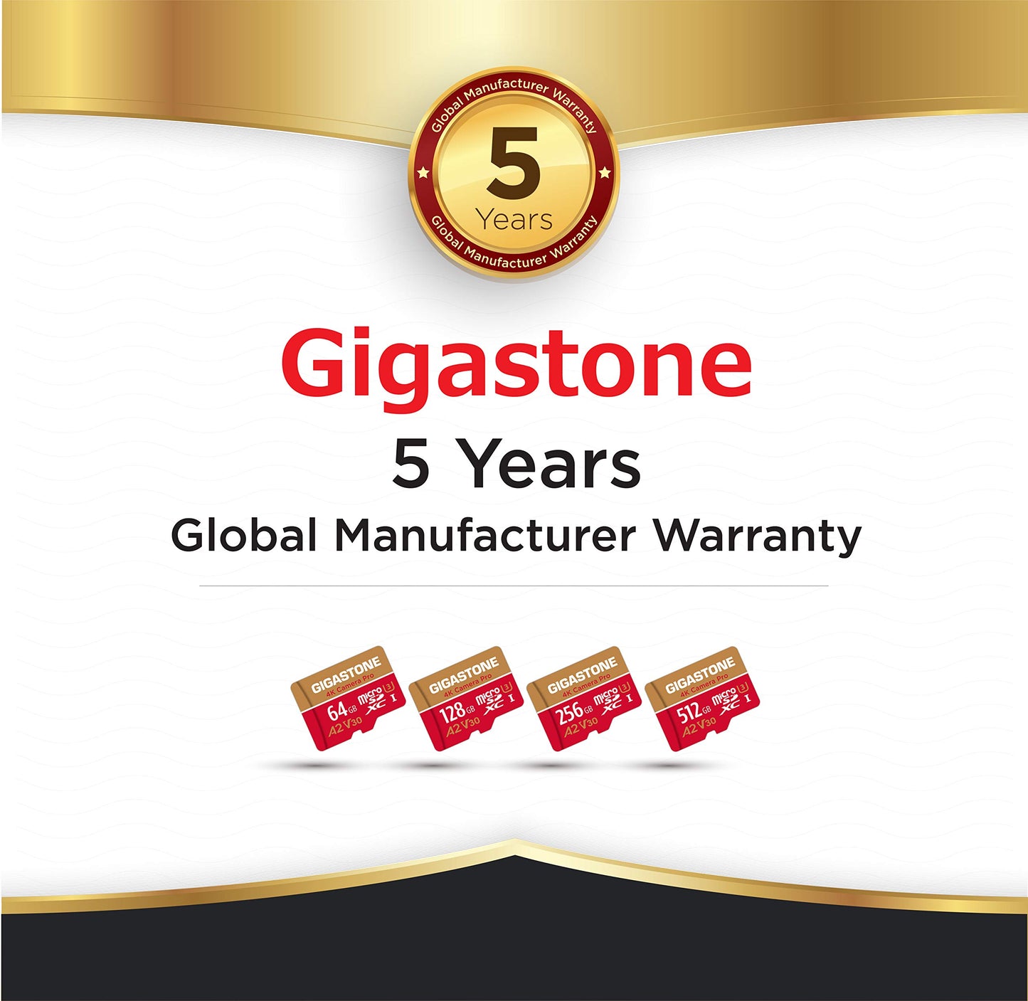 [5-Yrs Free Data Recovery] GIGASTONE 256GB Micro SD Card, 4K Camera Pro, A2 V30 for Smartphone, Gopro, Action Cams, 4K UHD Video, Nintendo-Switch Compatible, Up to 100MB/s, UHS-I U3 C10 with Adapter