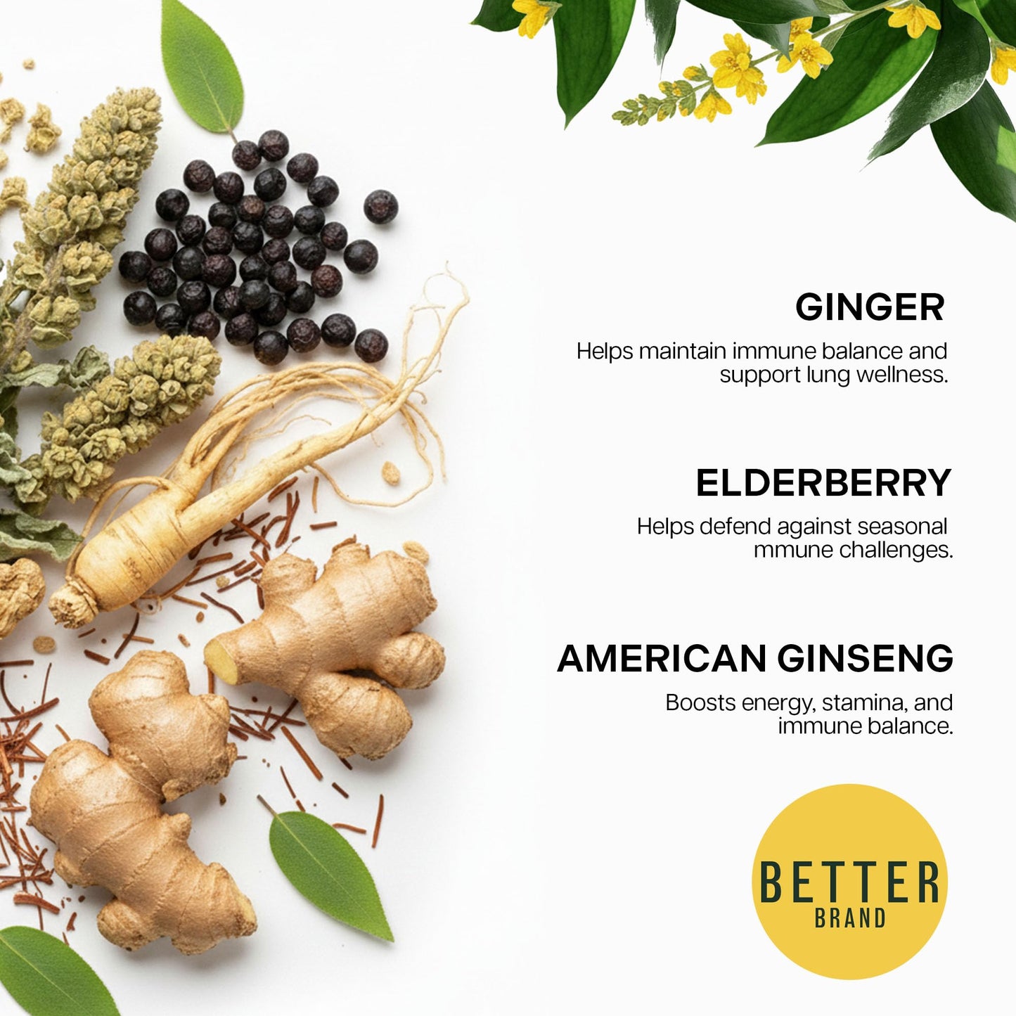 Betterbrand Mullein Tea Bags for Lung Detox - Respiratory Support with Thyme, Elderberry, Ginseng, Ginger, Caffeine Free Herbal Blend - 15 Tea Bags (Pack of 2)