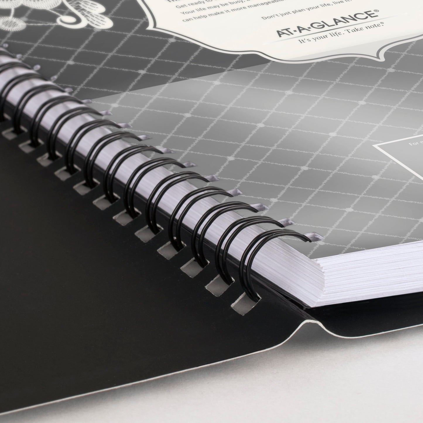 AT-A-GLANCE 2026 Appointment Book Planner, Weekly & Monthly, 8.5" x 11", Large, Hourly, Lacey (541-905-26)