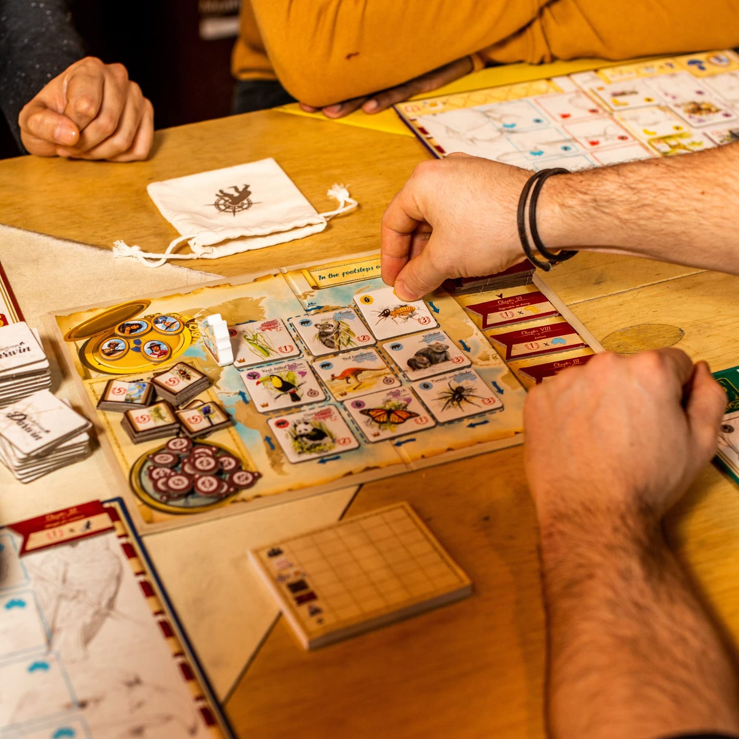 in The Footsteps of Darwin | Mensa Select Winner | Tile Laying Board Game | Ages 8+ | 2 to 5 Players | 30 Minutes