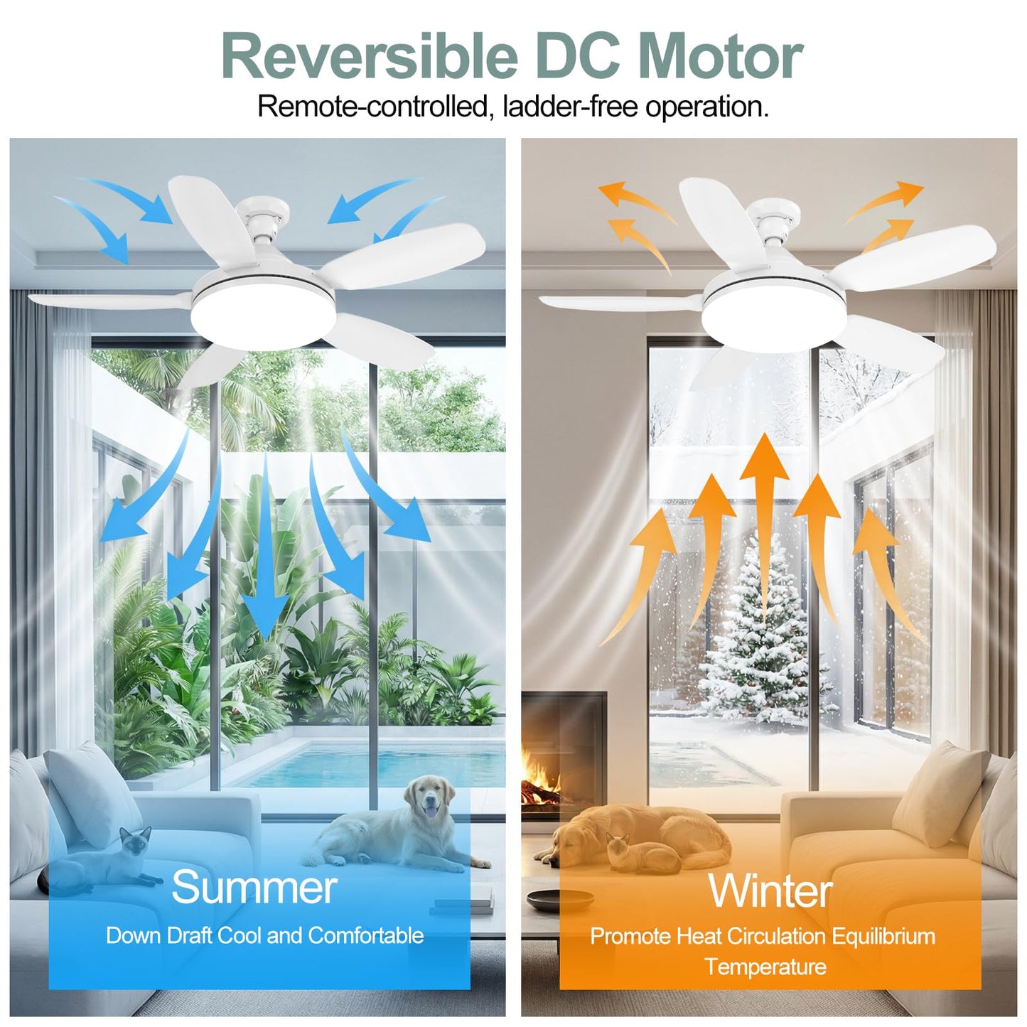 WZZIW 32" Socket Fan Light, 3000 Lumens Small Ceiling Fans with Lights and Remote, E26/E27 Light Bulb Fan with Reversible Motor, Dimmable 3000K-6500K Light Socket Fan for Bedroom Kitchen Garage