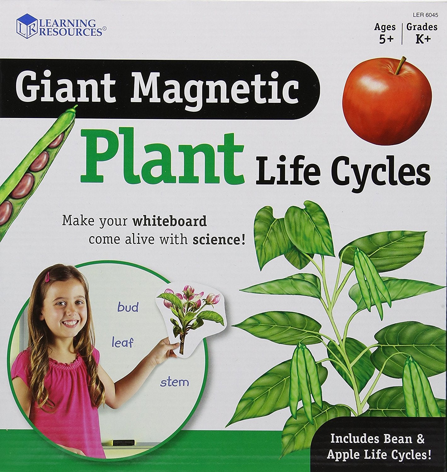 Learning Resources LER6045 Giant Magnetic Plant Life Cycle, 12 Write and Wipe Pieces, Ages 5+
