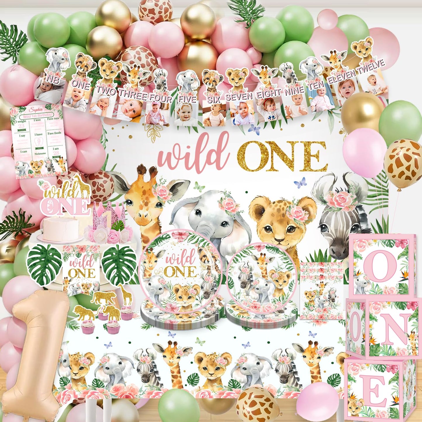 Cocomigo 184pcs Wild One Birthday Decorations Girl, Wild One Party Decorations Include Plate Banner Backdrop Tablecloth Cake Topper Pink Balloon Arch for Wild One Birthday Decorations