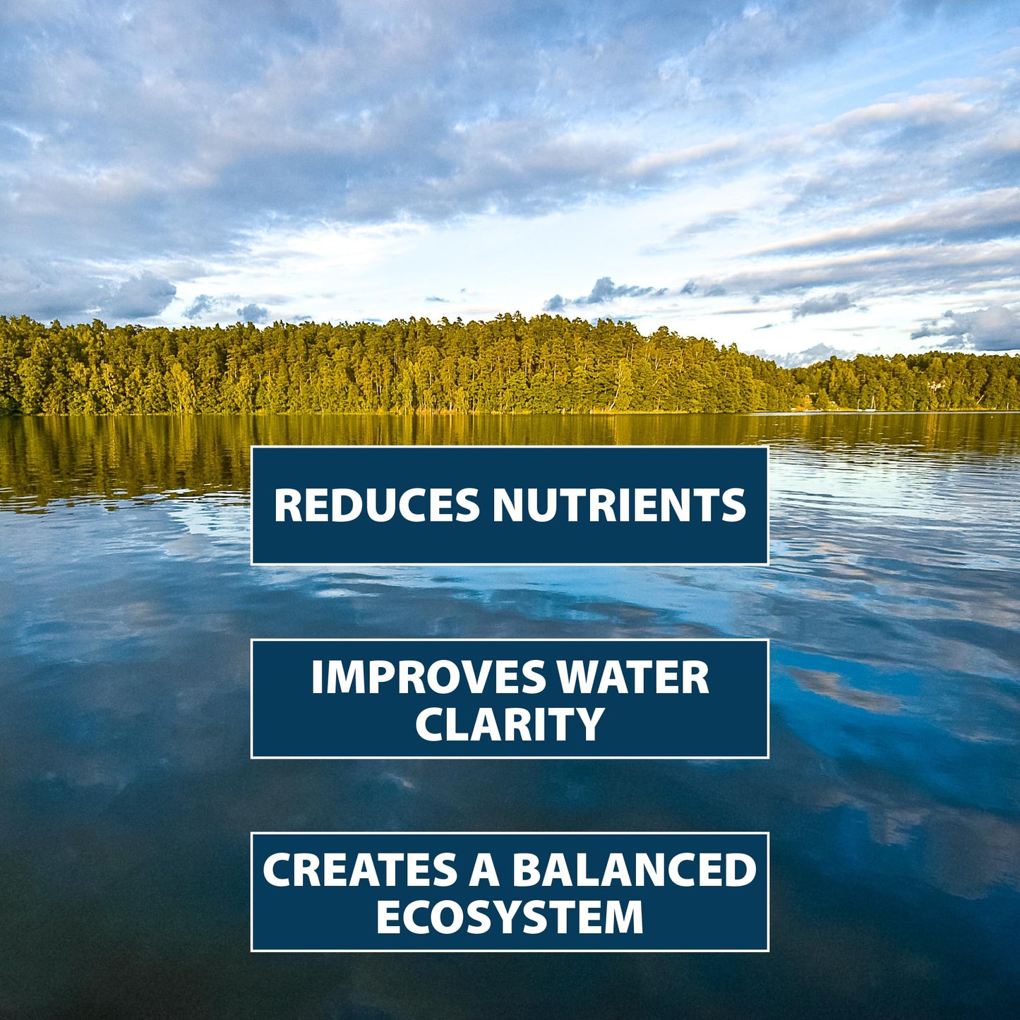 Airmax PondClear Packets, Beneficial Bacteria & Enzyme Clarifier Treatment with Ecoboost PRx, Clear & Clean Pond & Lake Water, Safe for Fish, 12-Count