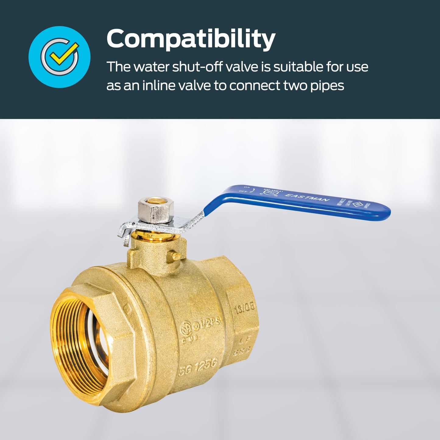 Eastman 2 Inch IPS Heavy Duty Full Port Ball Valve, Brass Plumbing Fitting, 20055LF