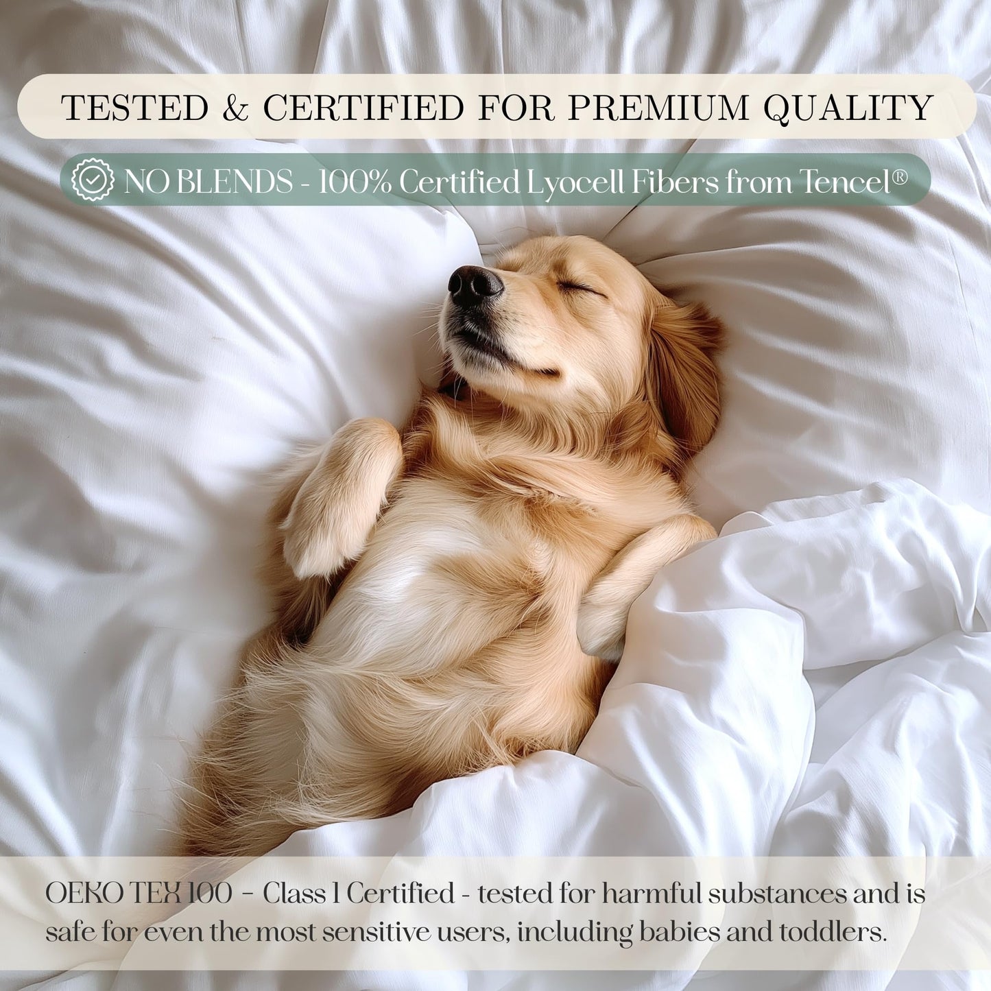 Eucalyptus Sheets - Infused with Silver for Anti-Odor, Softer Than Silk Fibers, More Cooling Than Cotton - Perfect for Hot Sleepers & Sensitive Skin - 100% Tencel Lyocell - Full Sheet Set