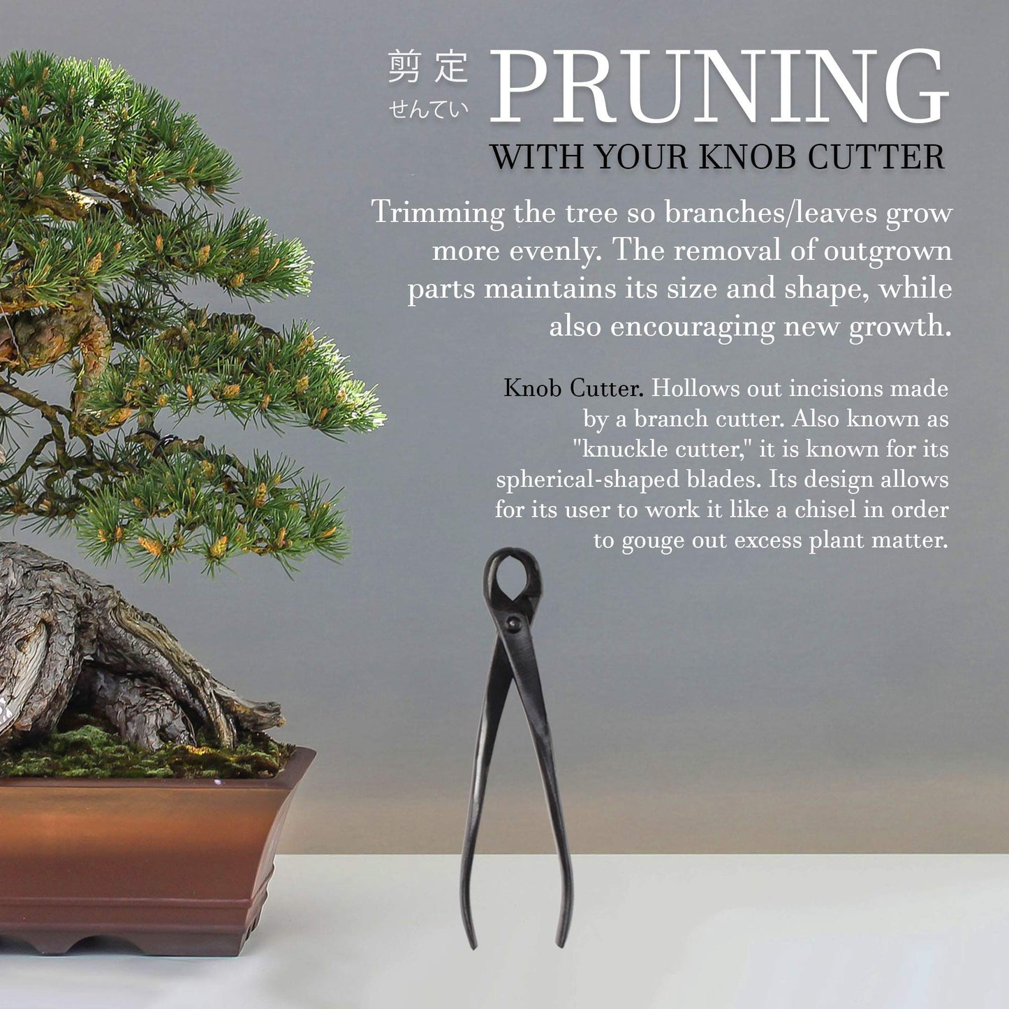 BambooMN Bonsai Tool Kit - 8" Concave Cutter & 8" Knob Cutter - 1 Set