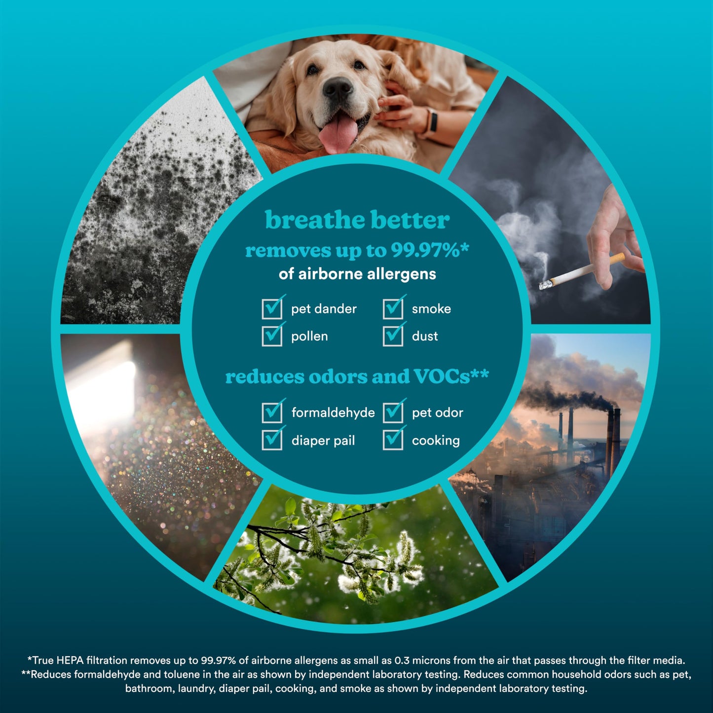 Homedics True HEPA Replacement Filter, Compatible with Homedics Air Purifier AP-T200 and AP-T2503 Dust Remover, Air Cleaner, Remove Household Odors, Activated Carbon Filters, Remove Pet Odors