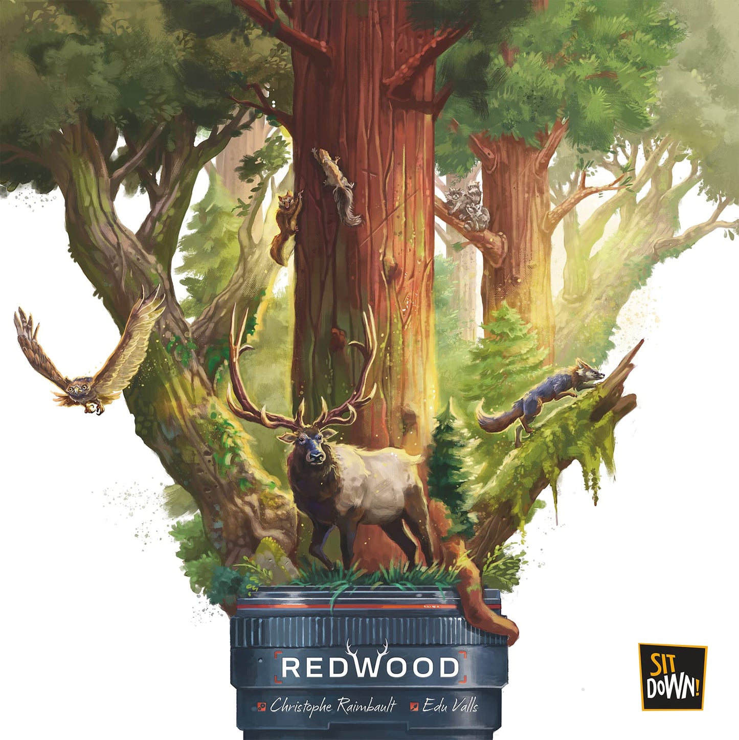 Sit Down Games Redwood | A Strategy Board Game for 1-4 Players Take Pictures of Wild Animals to Compose The Most Beautiful Panorama| Ages 8+
