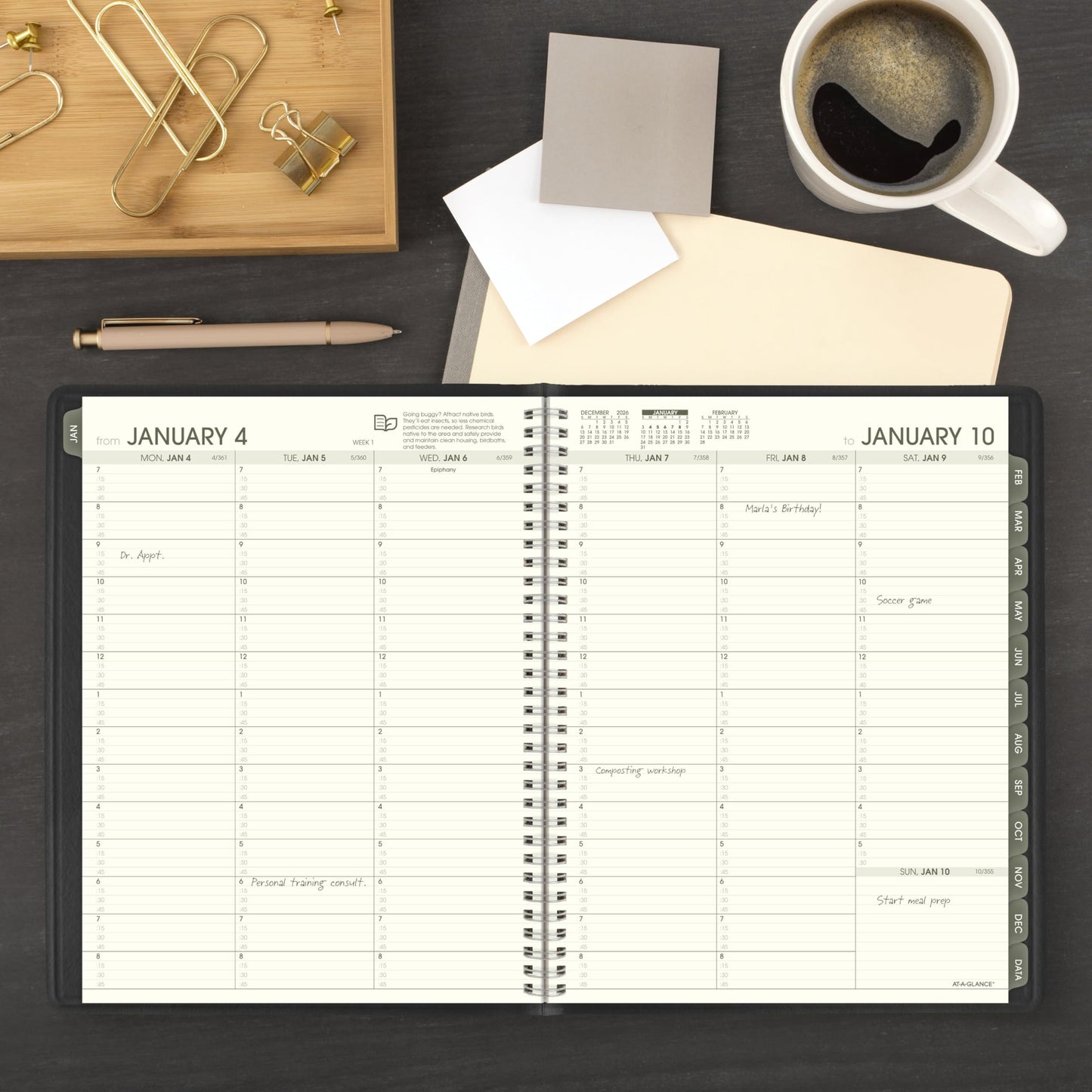 AT-A-GLANCE 2027 Appointment Book Planner, Weekly & Monthly, 8.25" x 11", Quarter-Hourly, Recycled, Black (70950G0527)