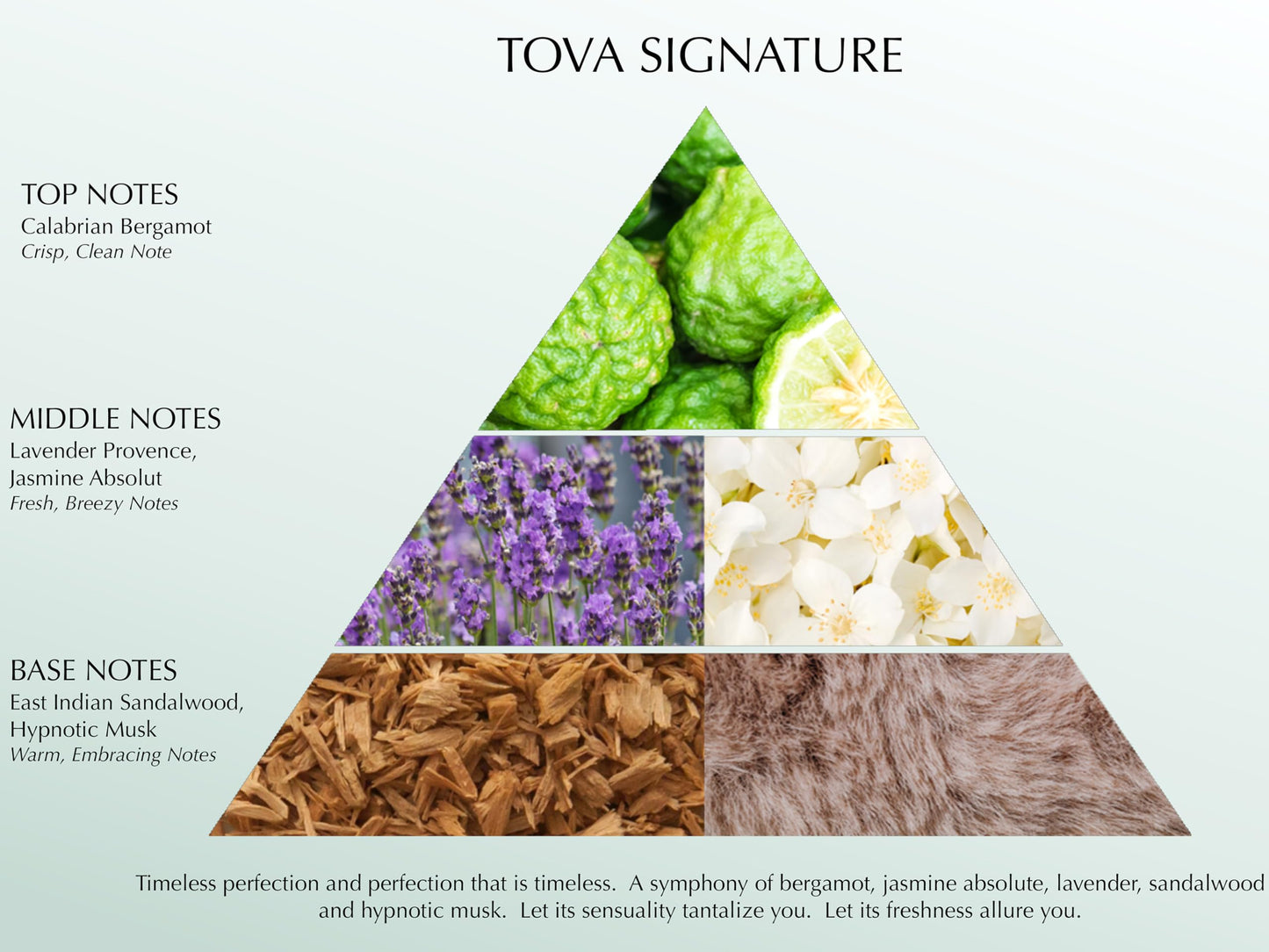 Tova Signature Dry Oil Spray, 3.4 Fluid Oz.