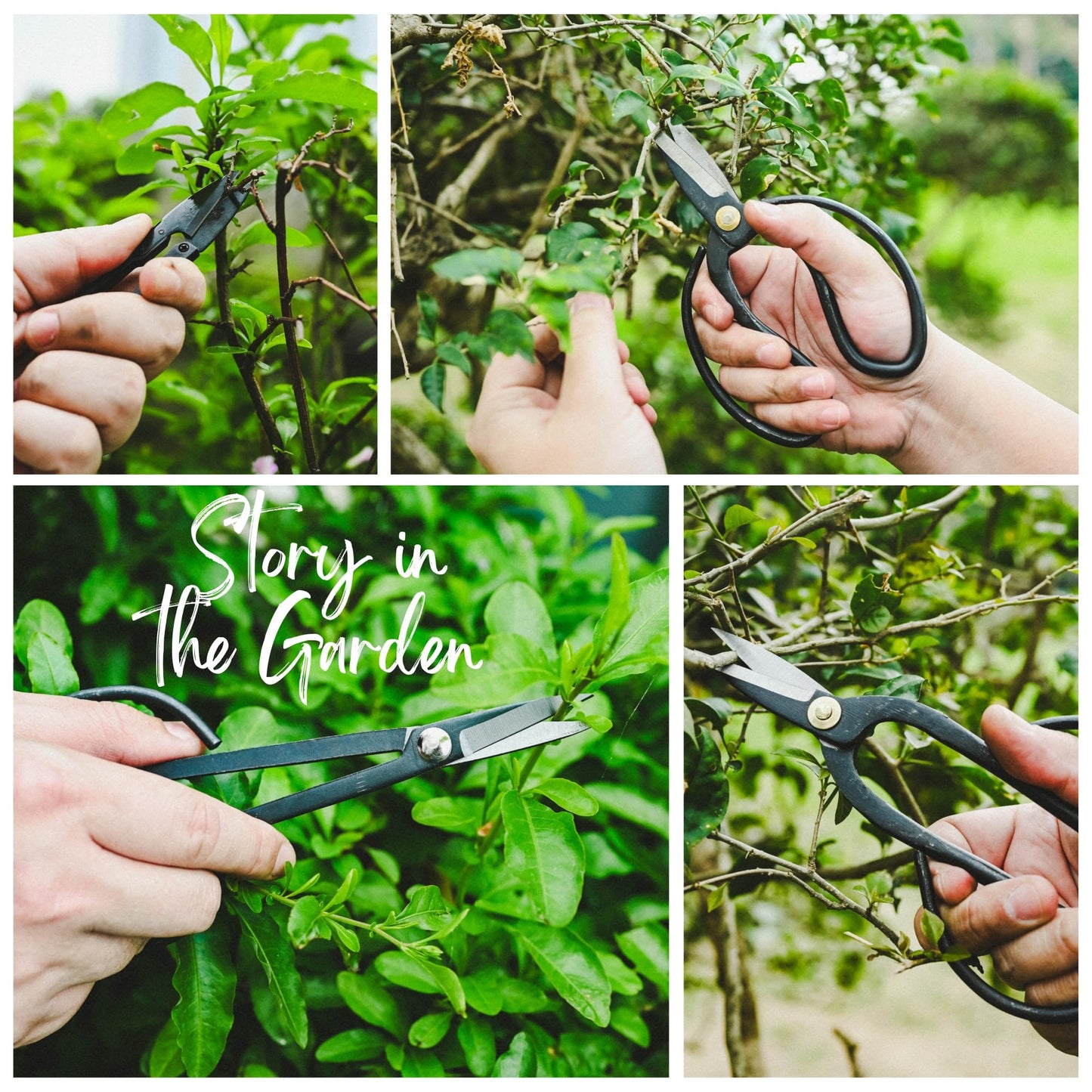 15-Piece Bonsai Tree Kit, Bonsai Tool Set, Bonsai Starter Kit, Carbon Steel Scissors, Cutter Shears, Rake with Spatula, Perfect Gardening Trimming Pruning Tools