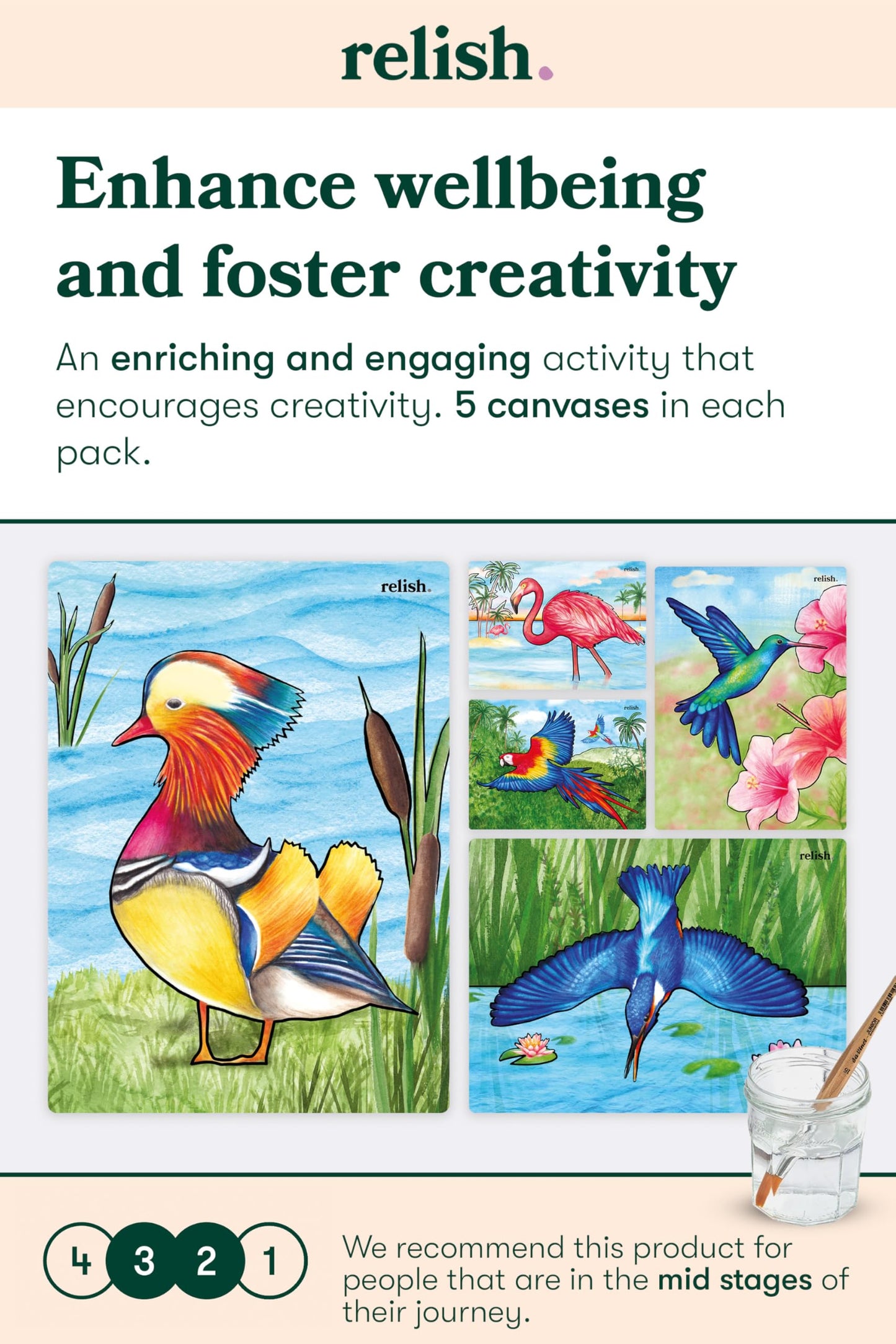Relish Magnificent Birds Aquapaints - Pack of 5 Reusable Water Painting Alzheimer’s & Dementia Activities, Products & Aids for Elderly