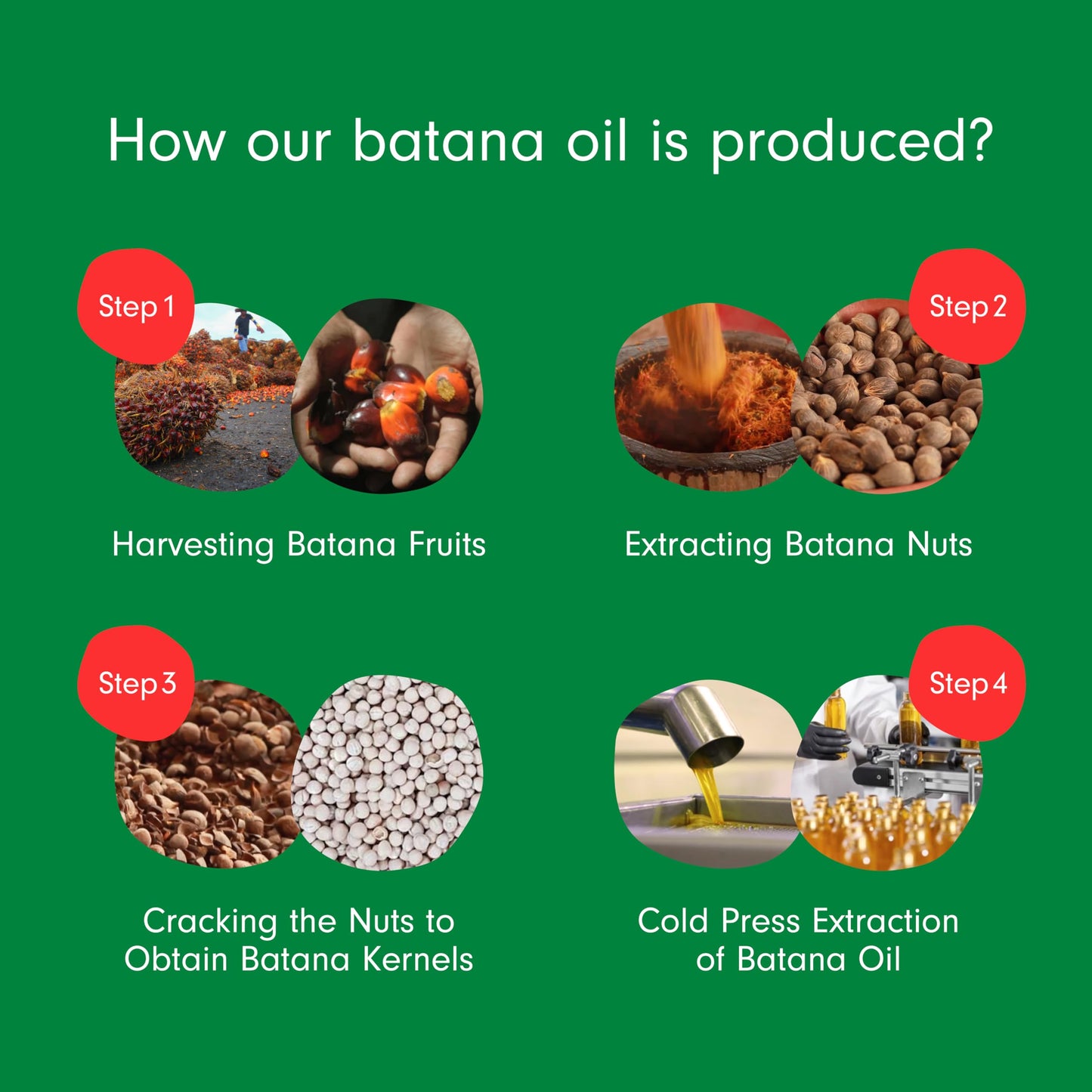 Batana Oil for Hair Growth: Dr Sebi Organic Raw Batana Oil from Honduras - 100% Pure & Natural - For Thicker & Stronger Hair - 4 FL OZ (Pack of 2)