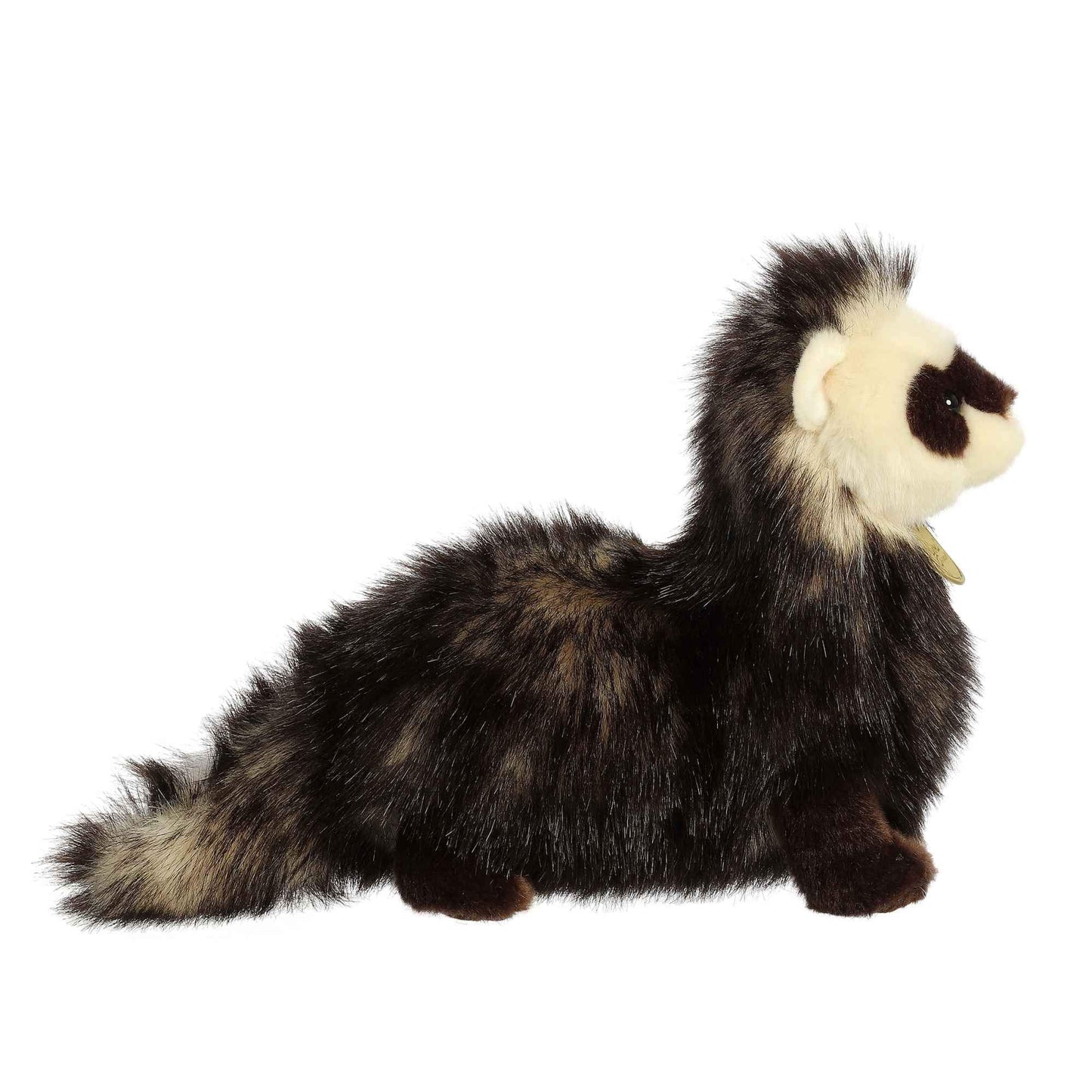 Aurora - Ferret 10"
