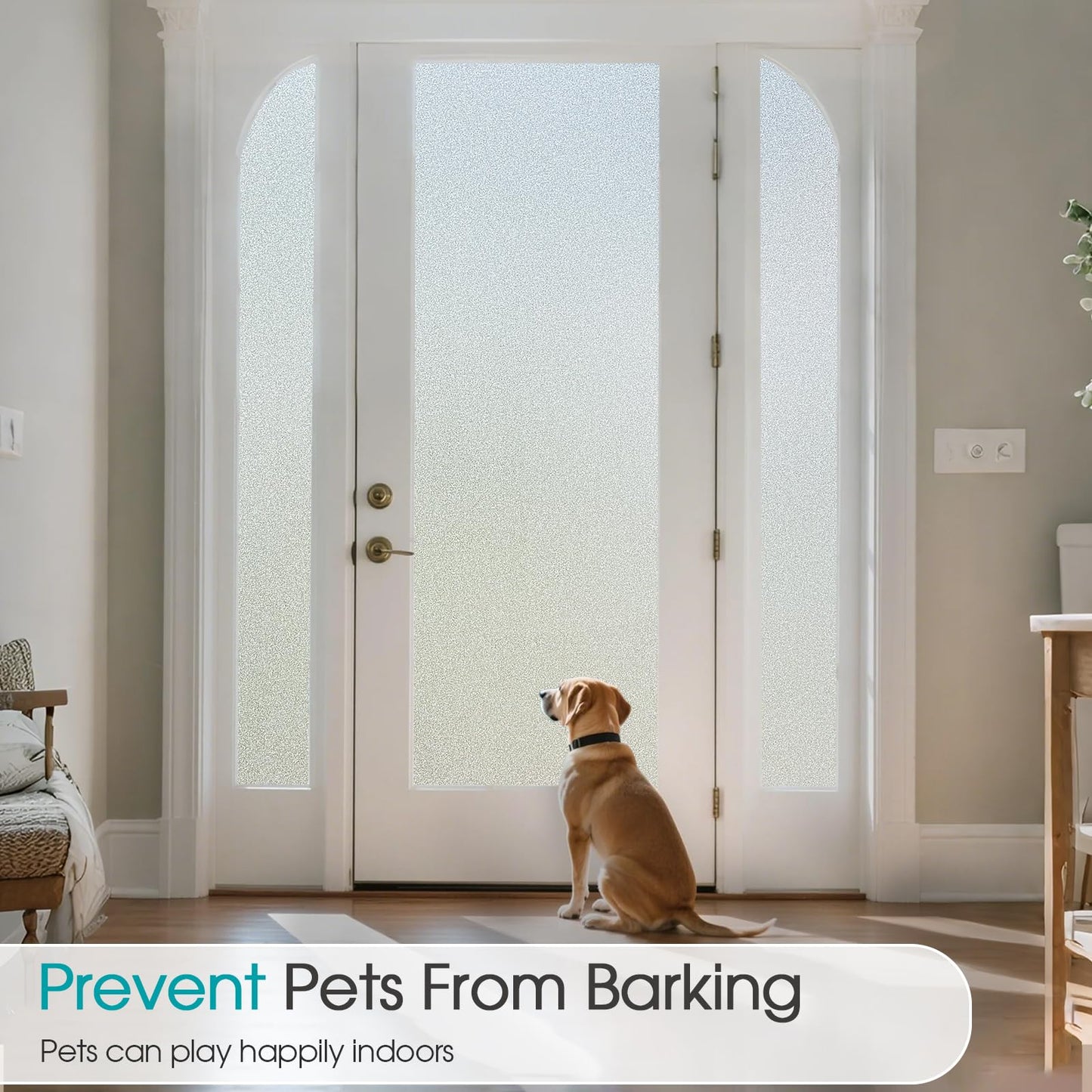Coavas Window Privacy Film Frosted Glass Static Cling UV Sun Blocking Heat Control Window Tint Day and Night Insulation Home Bathroom Door Decorative Frosting Cover (23.6 x 78.7 Inch, Pure)