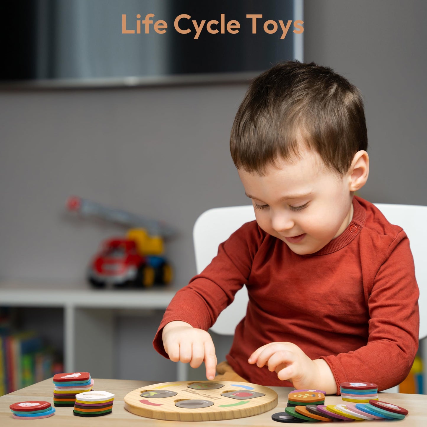 Woodtoe Life Cycle Toys for Kids, 12 Themes Montessori Preschool Science Center Materials, Wooden STEM Educational Toys for Toddlers, Learning Game Travel Gift for Boys Girls Age 3-6