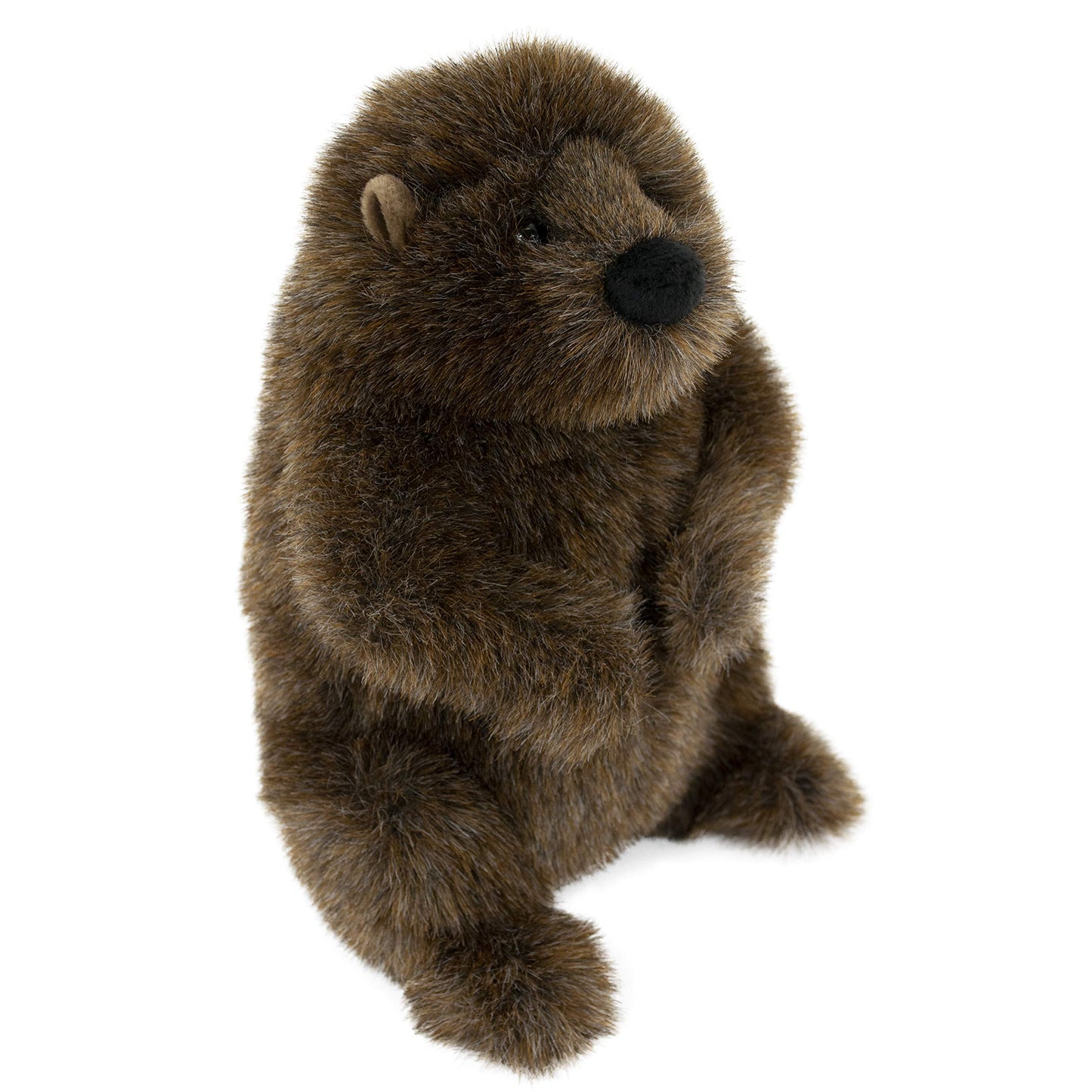 Douglas Chuckwood Groundhog Plush Stuffed Animal